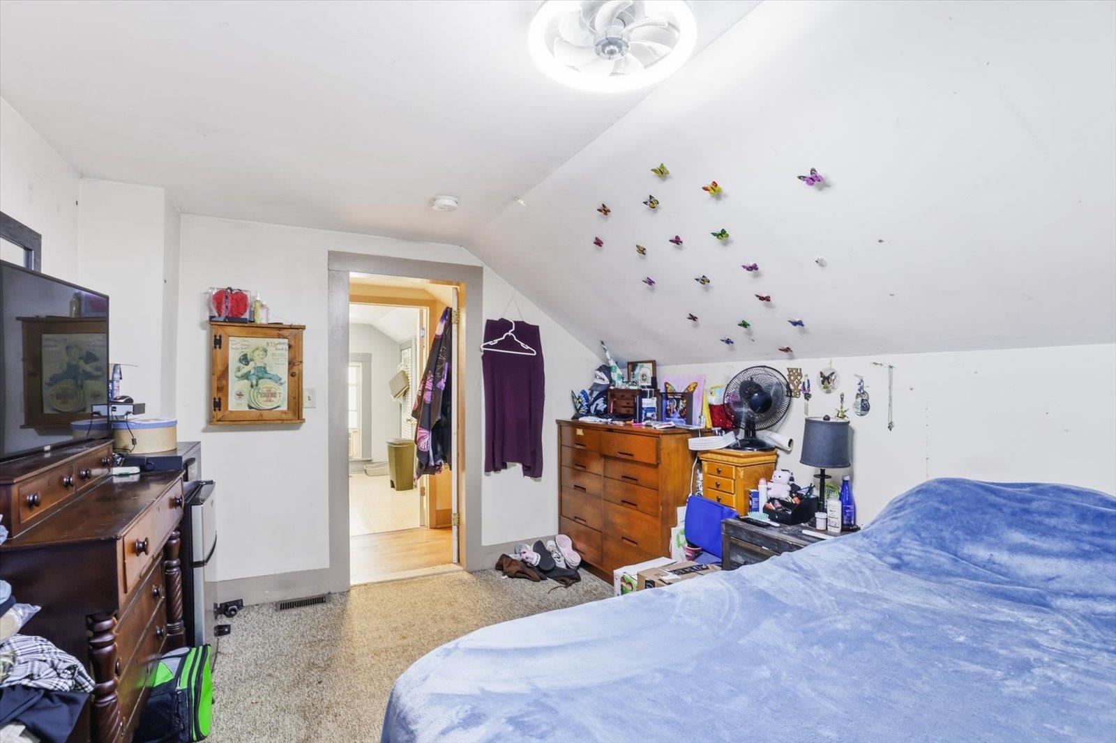 40 Myrtle Street Property Photo 25