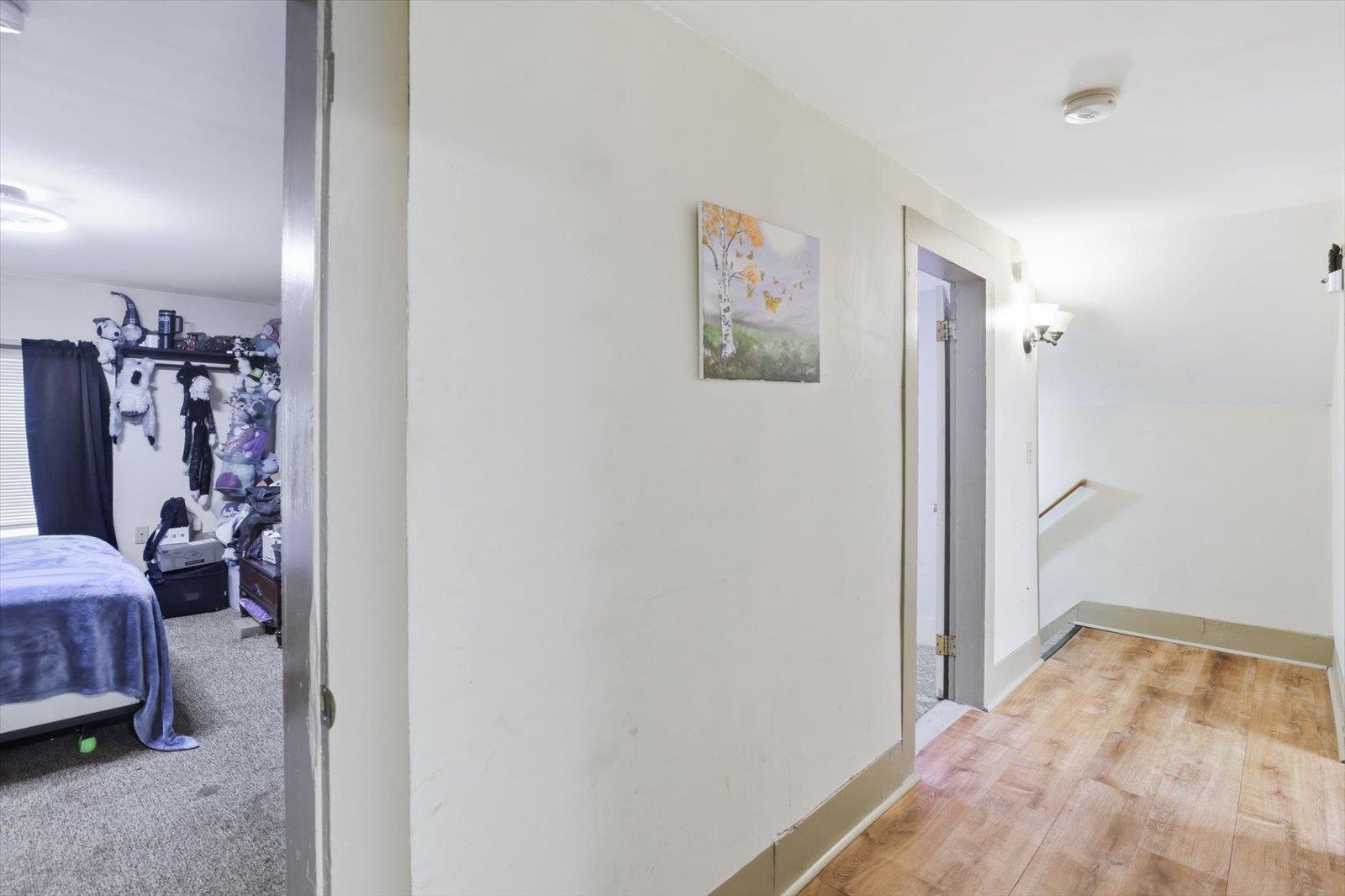 40 Myrtle Street Property Photo 28