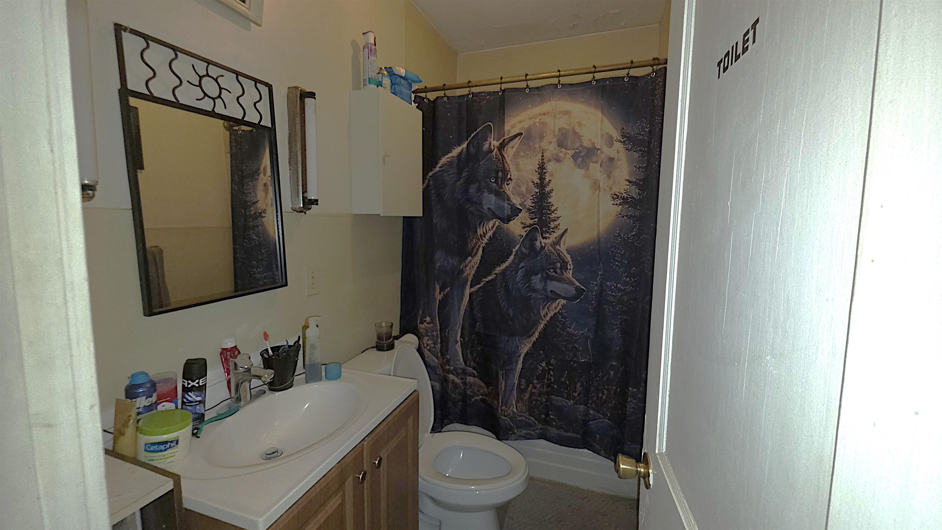 5 Wight Street Property Photo 17