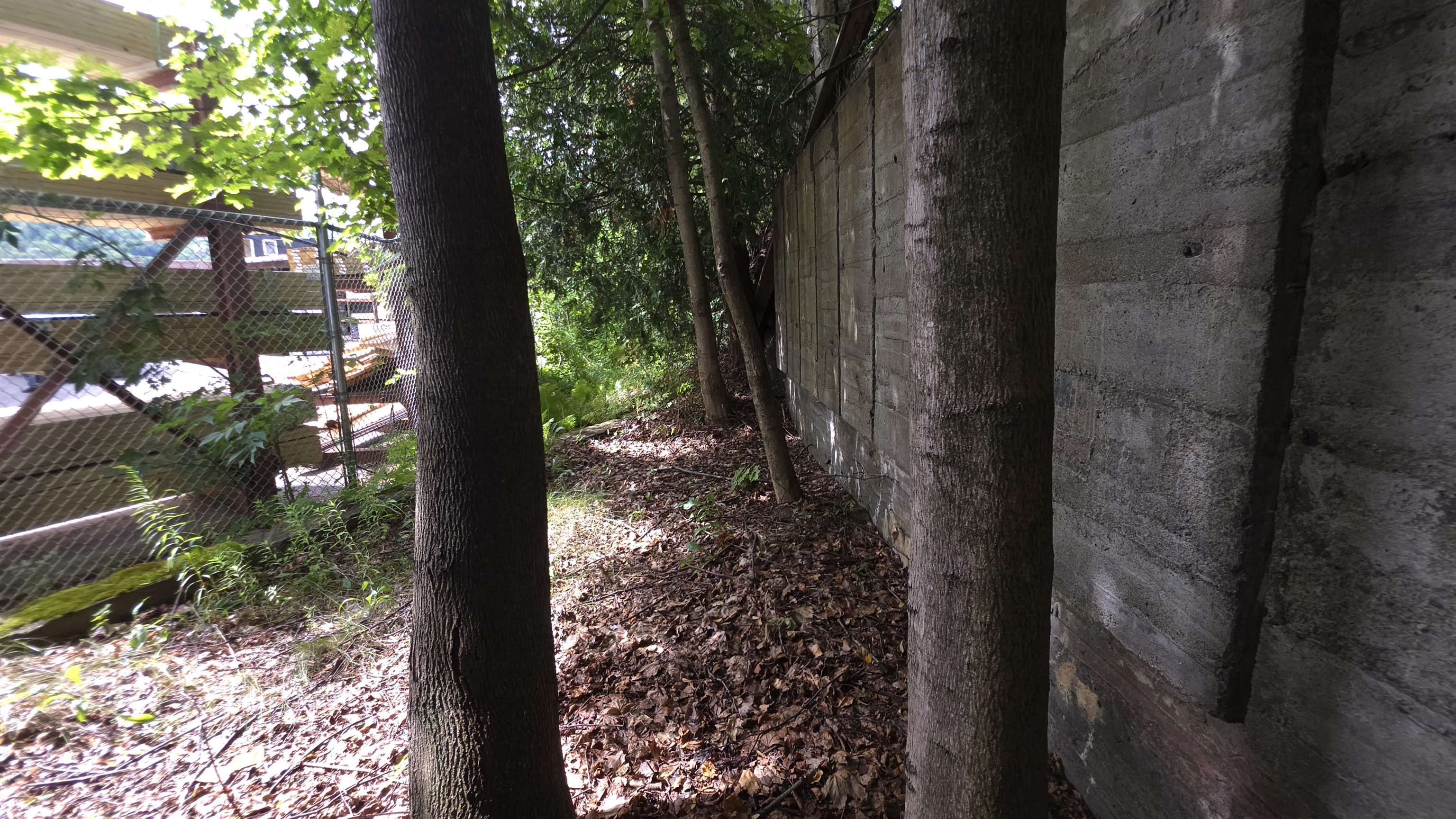 5 Wight Street Property Photo 25