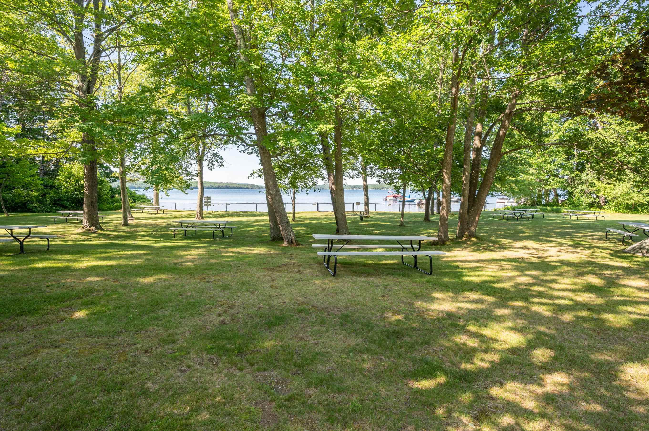 81 Lynnewood Road Property Photo 49