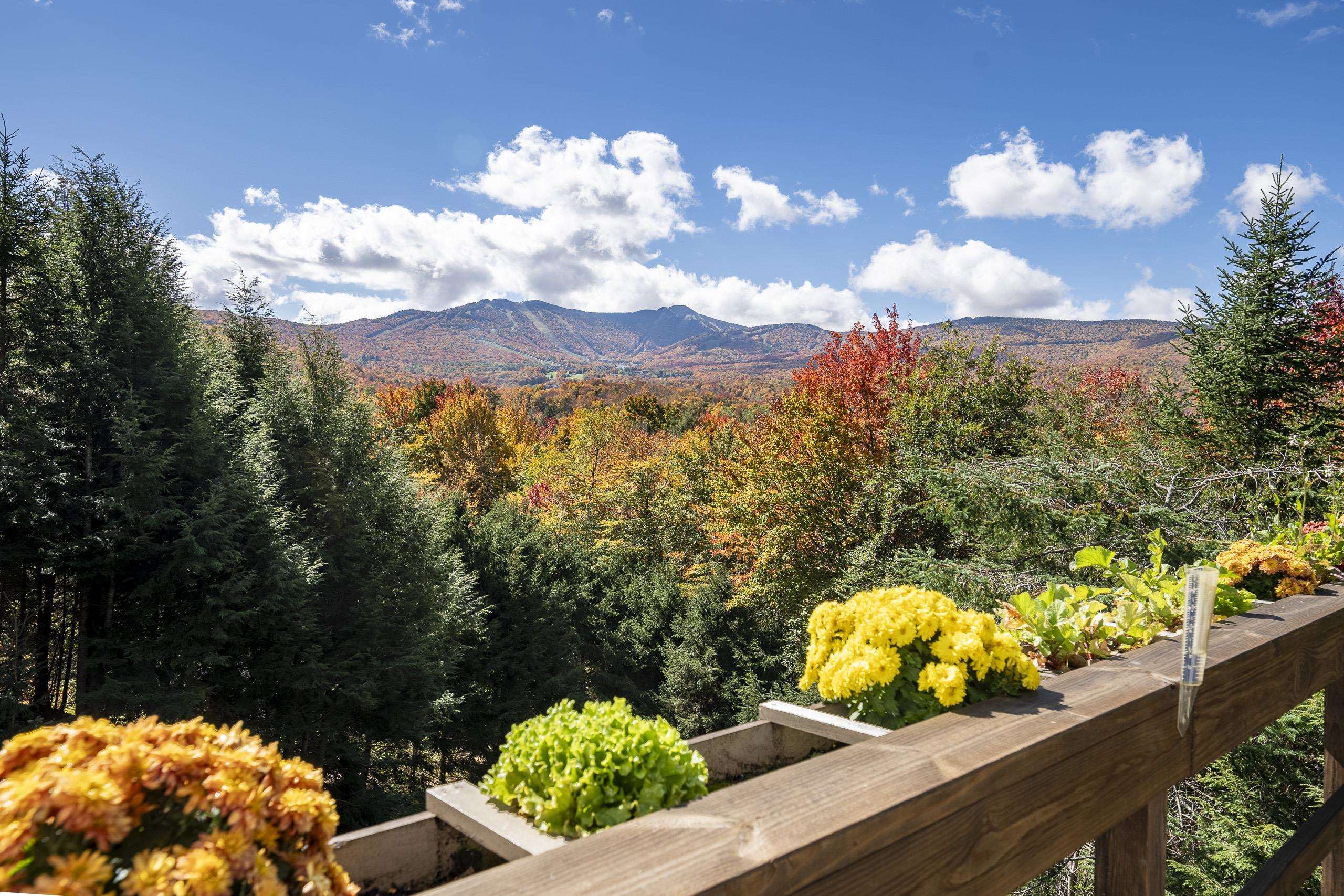 182 Bearly Hi Way Property Photo 4