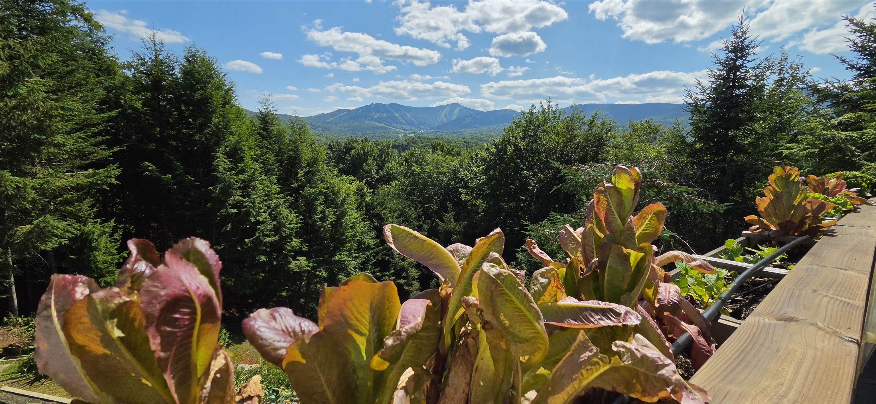 182 Bearly Hi Way Property Photo 27