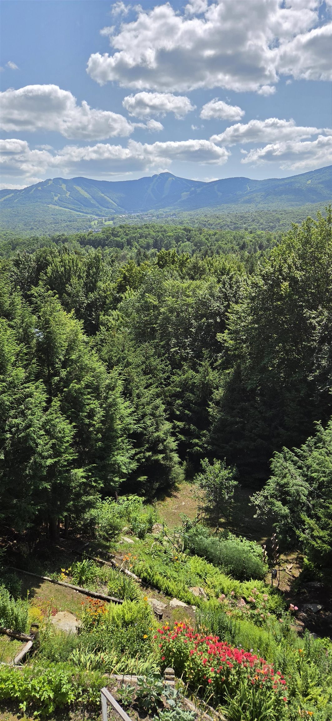 182 Bearly Hi Way Property Photo 29
