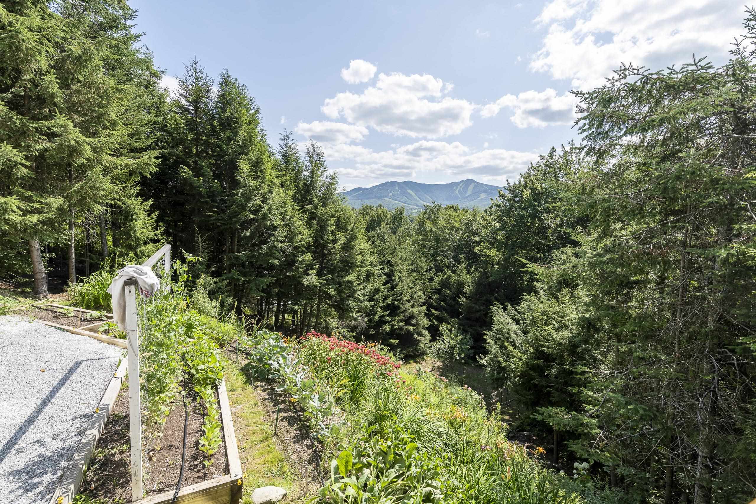 182 Bearly Hi Way Property Photo 54