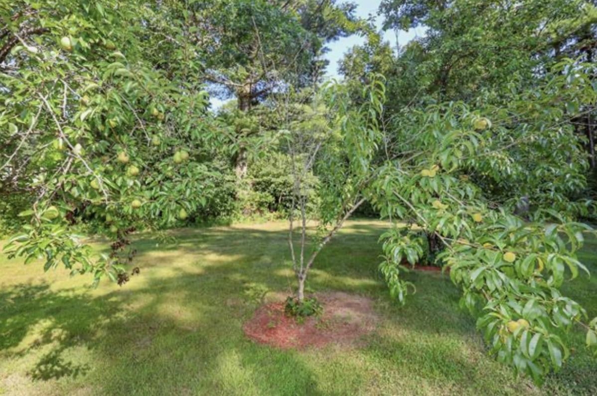 1 Gumpas Hill Road Property Photo 52