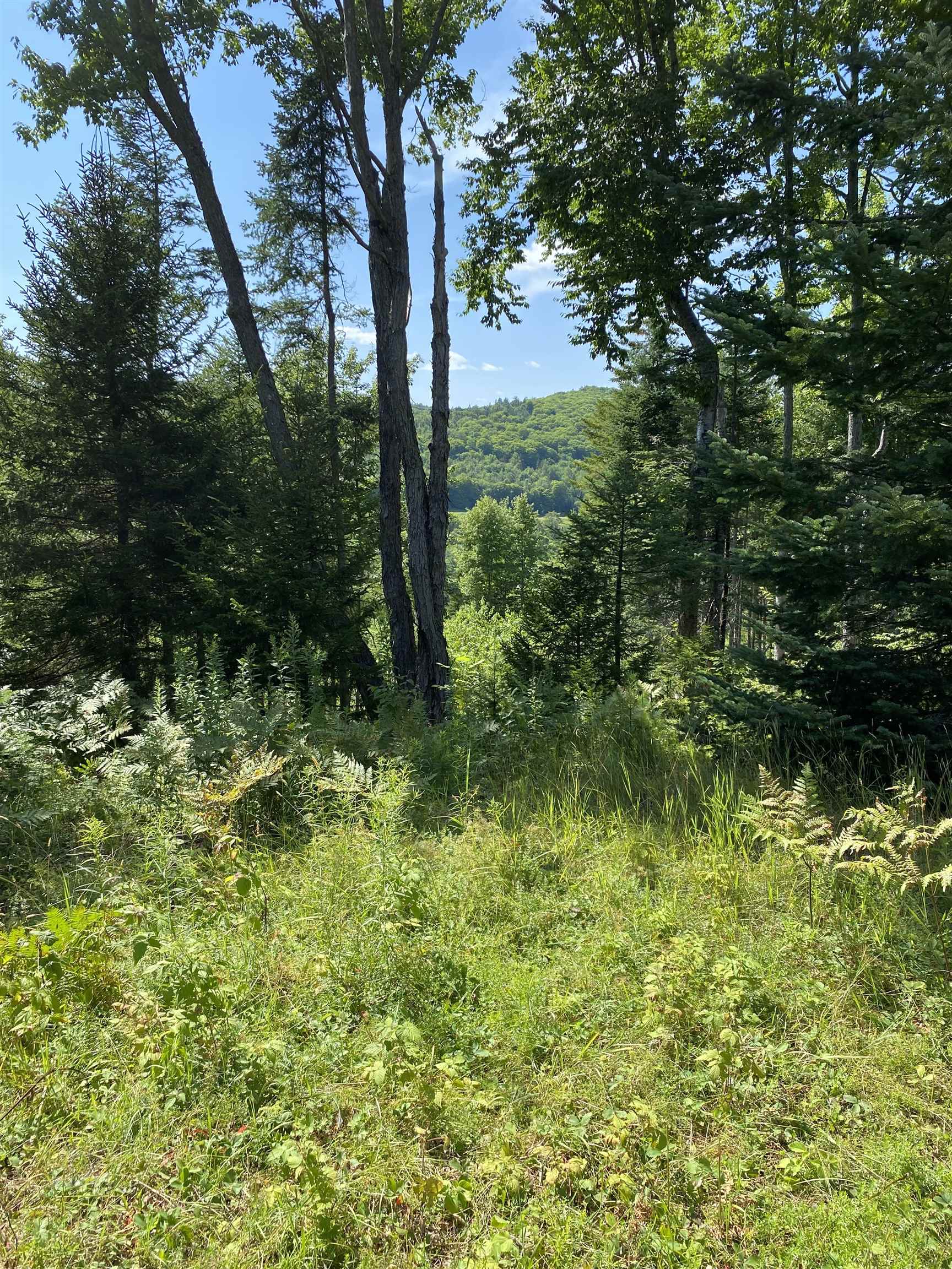 8 Kimball Hill Road Property Photo 60