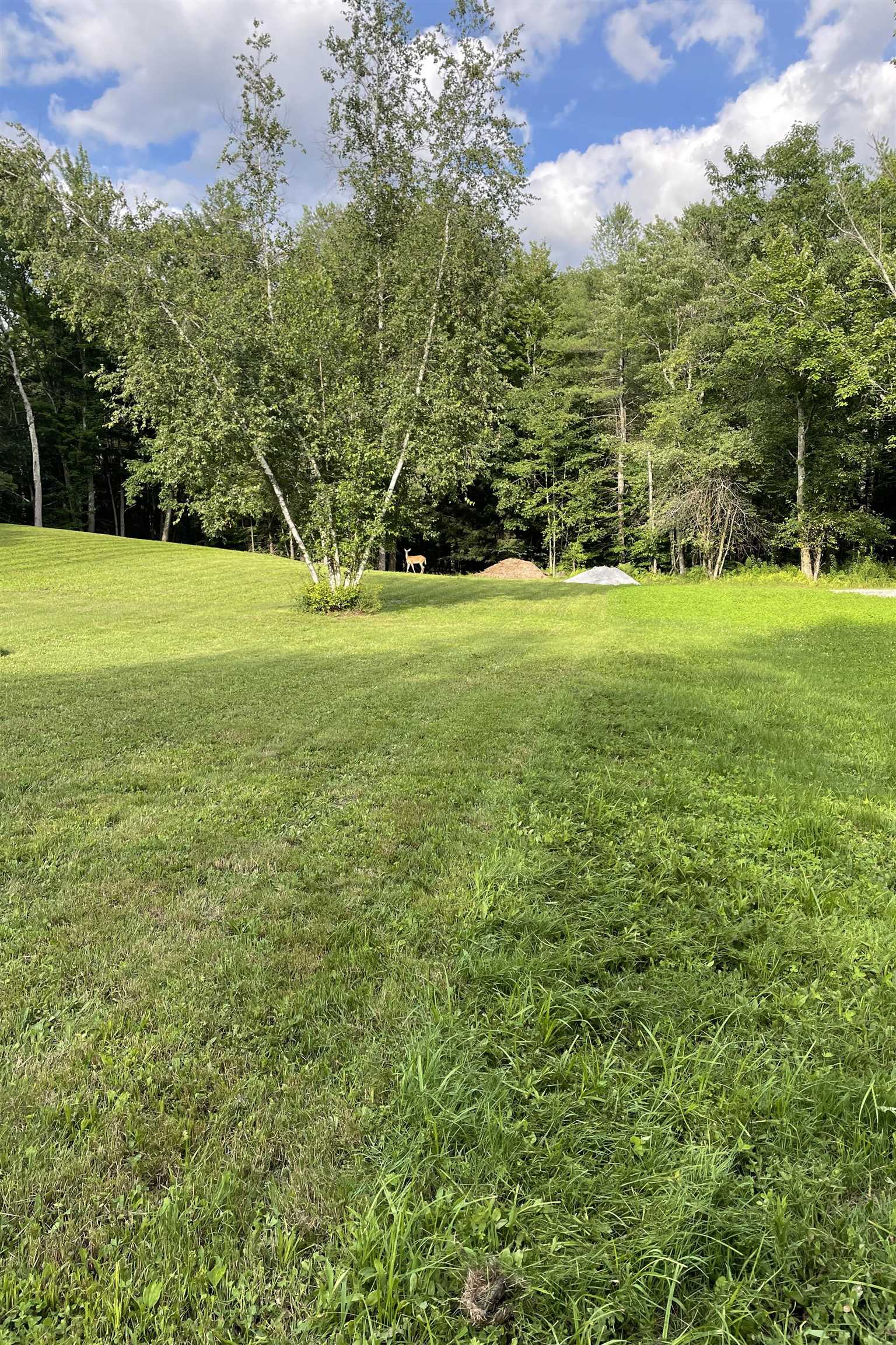 0 Townline Road Property Photo 4