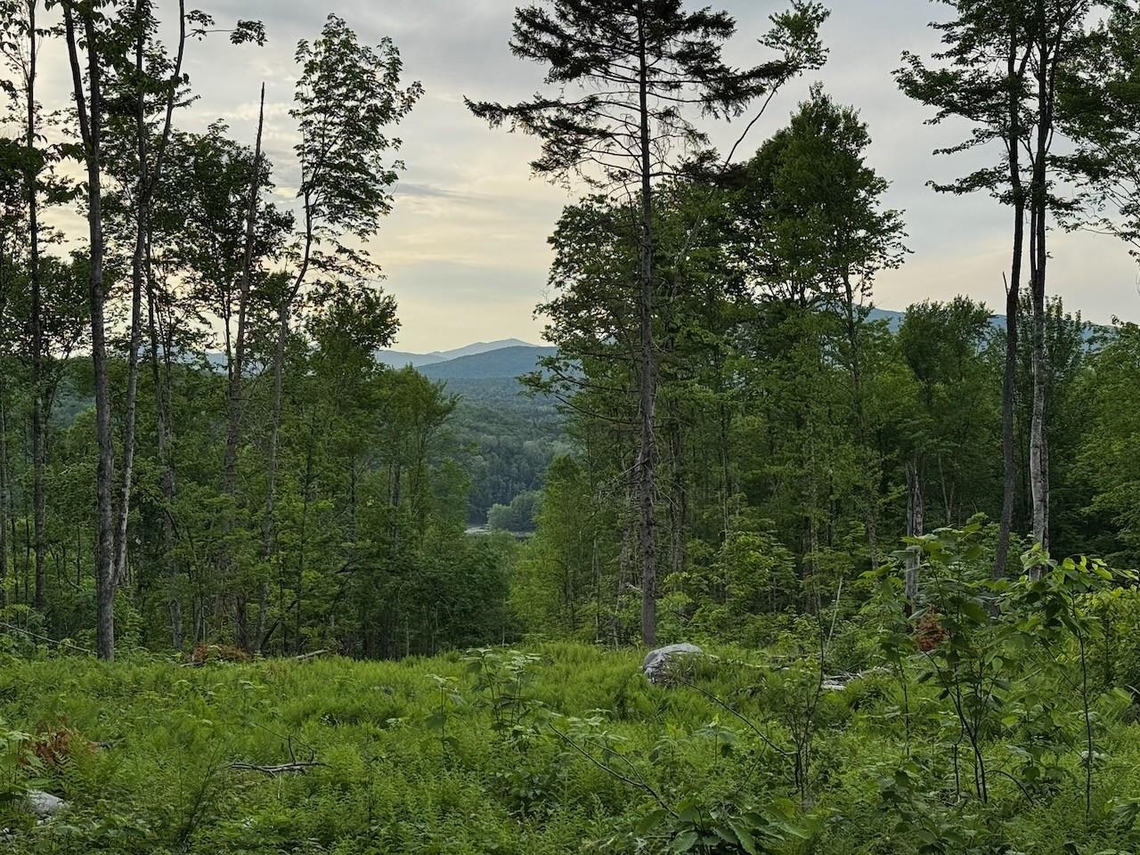 Tbd North Littleton Road Property Photo 22
