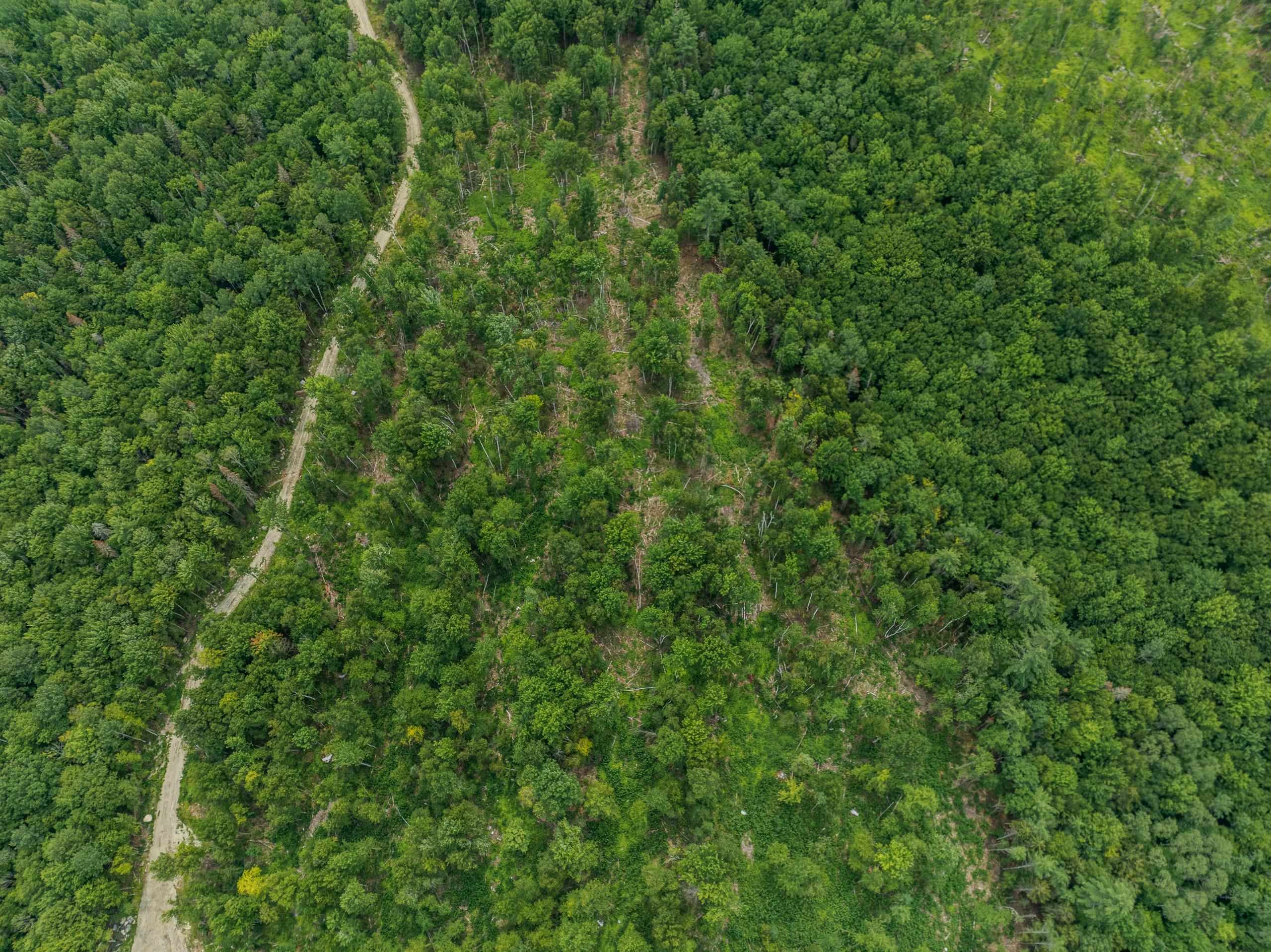 Tbd North Littleton Road Property Photo 29