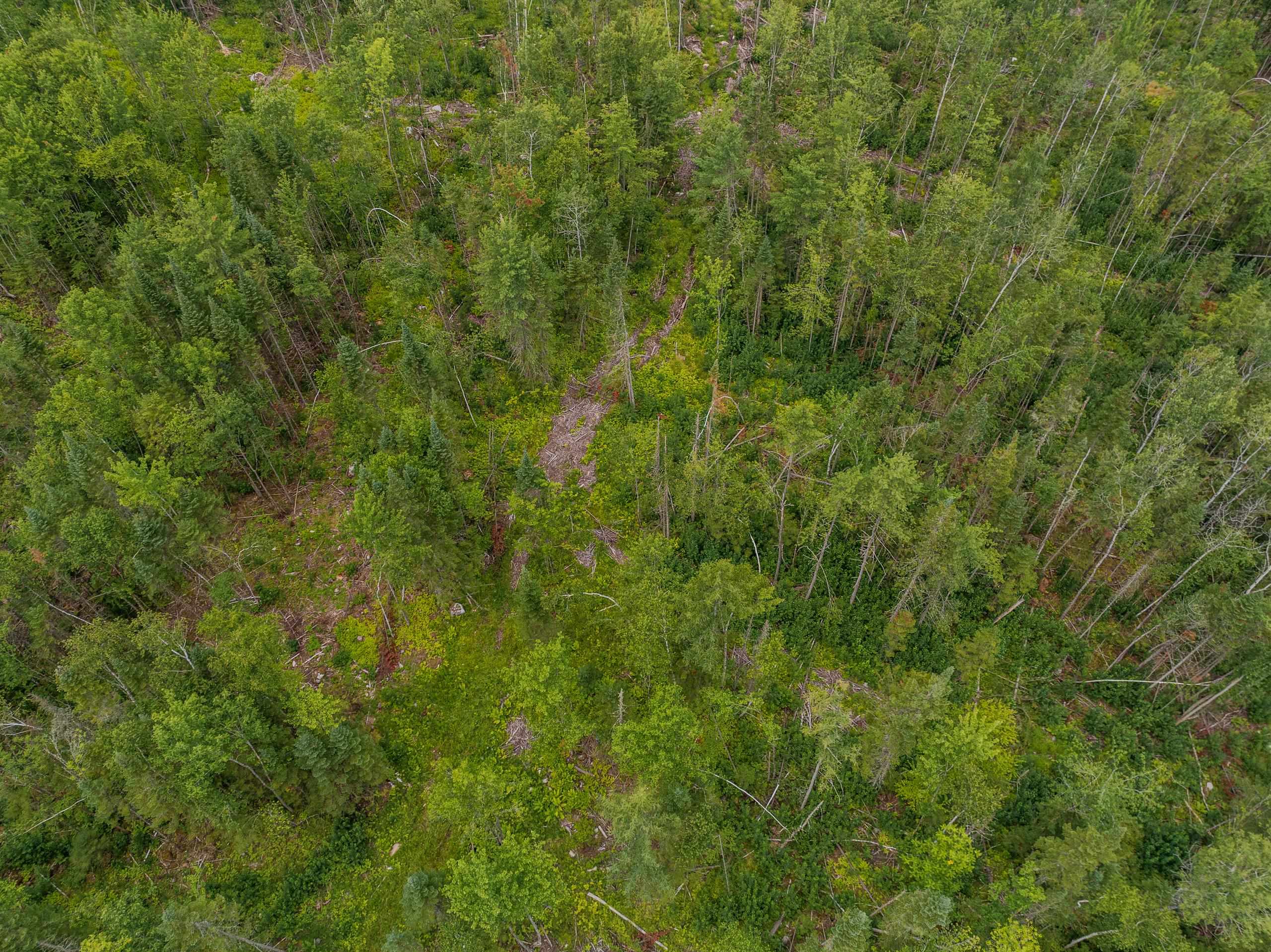 Tbd North Littleton Road Property Photo 34