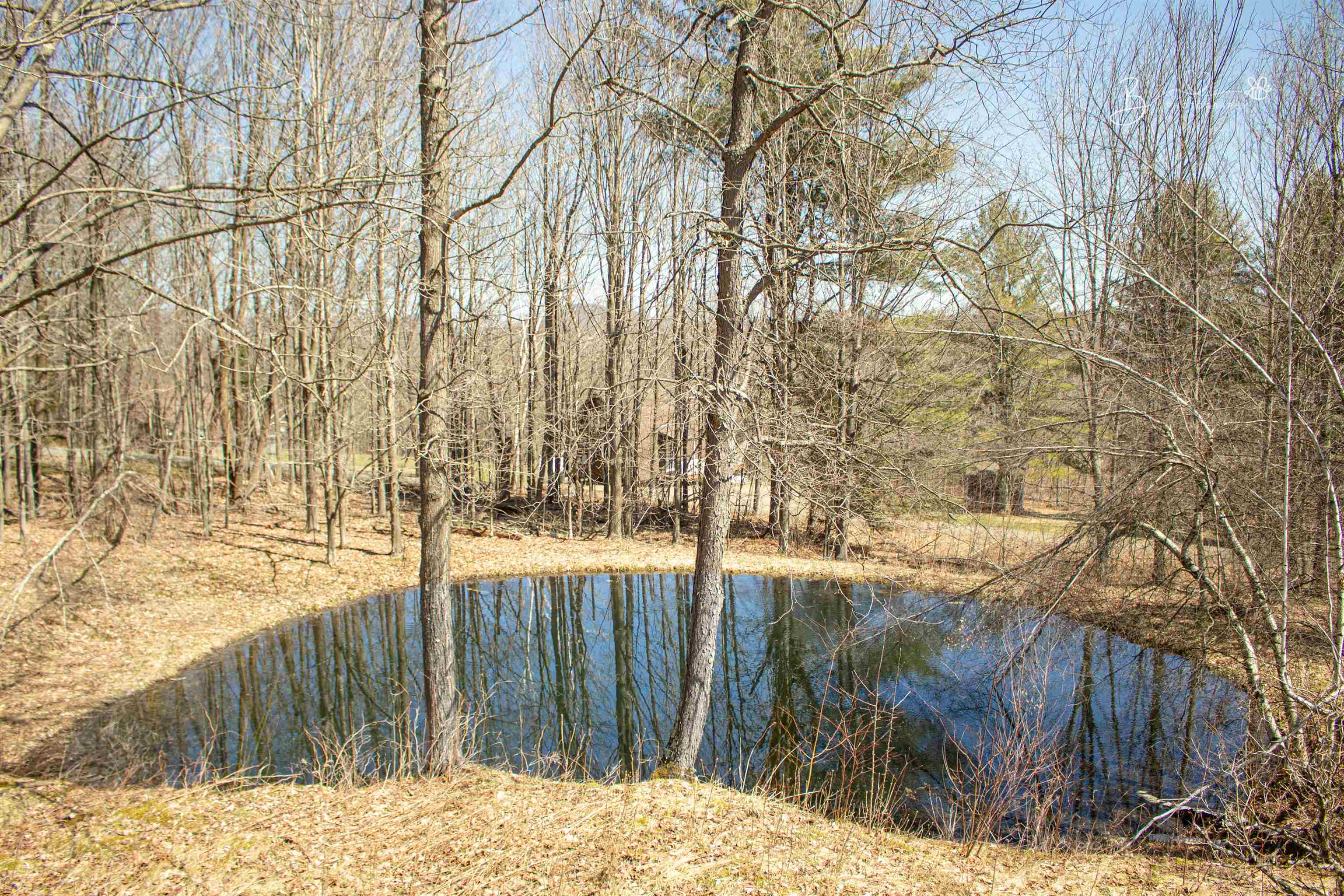 1387 Vt Route 101 Property Photo 5