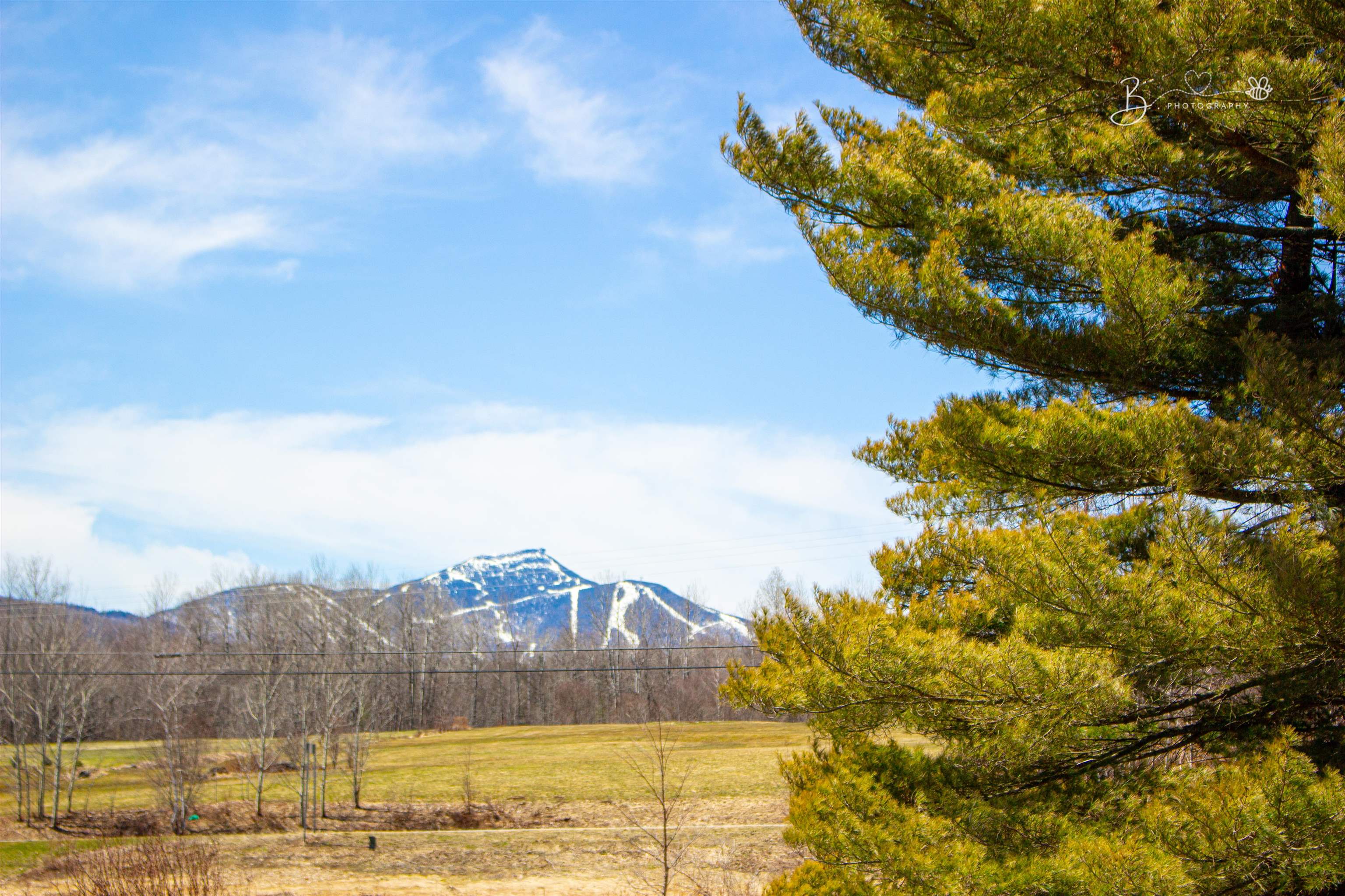 1387 Vt Route 101 Property Photo 40