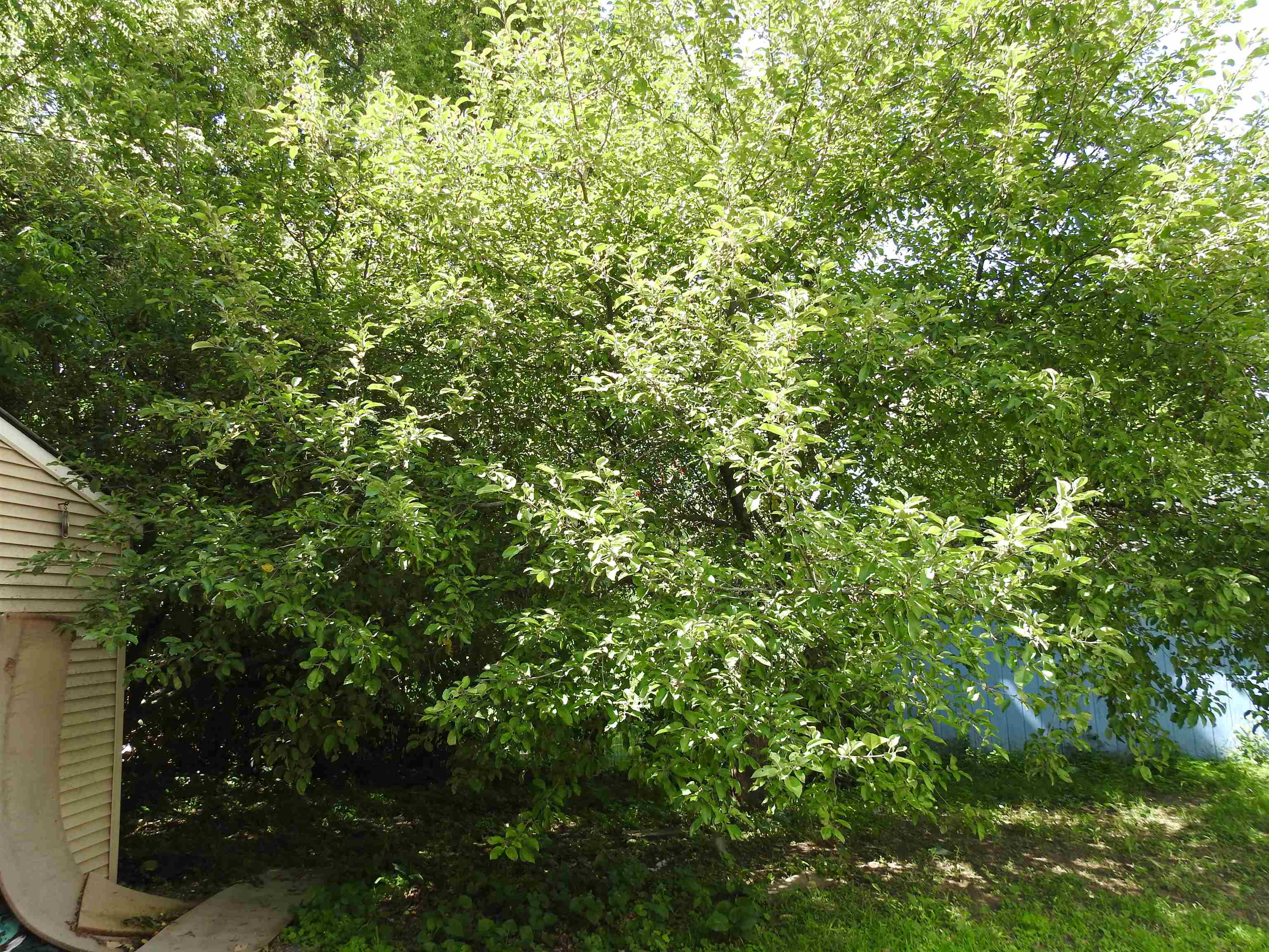 48 Greenwich Street Property Photo 7