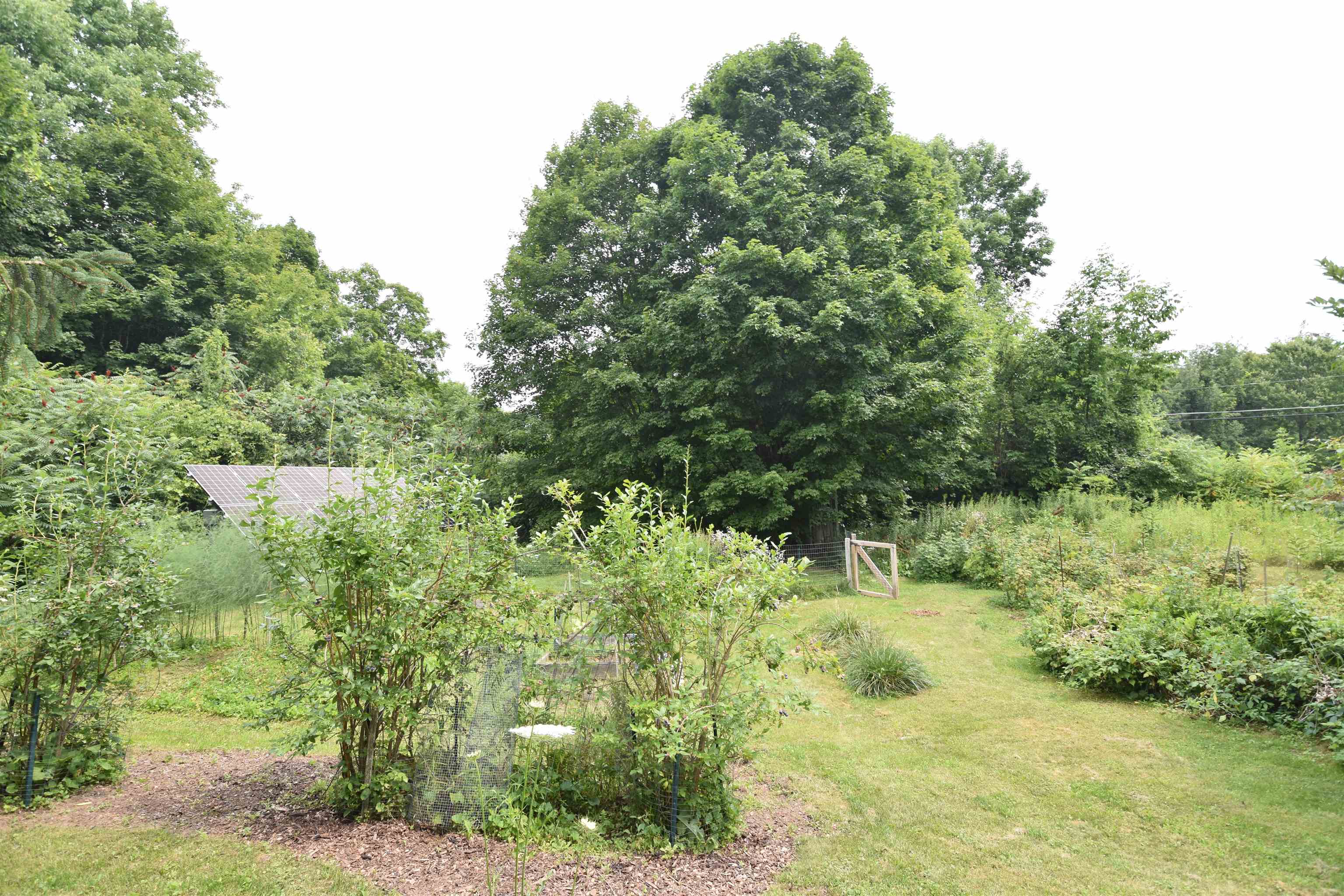 504 Hardscrabble Road Property Photo 23