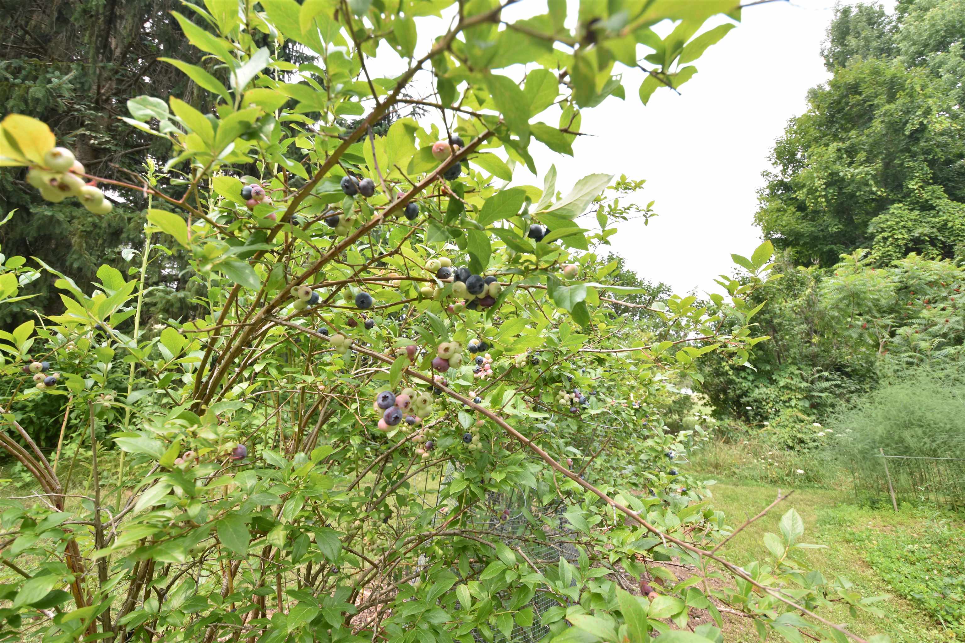504 Hardscrabble Road Property Photo 28