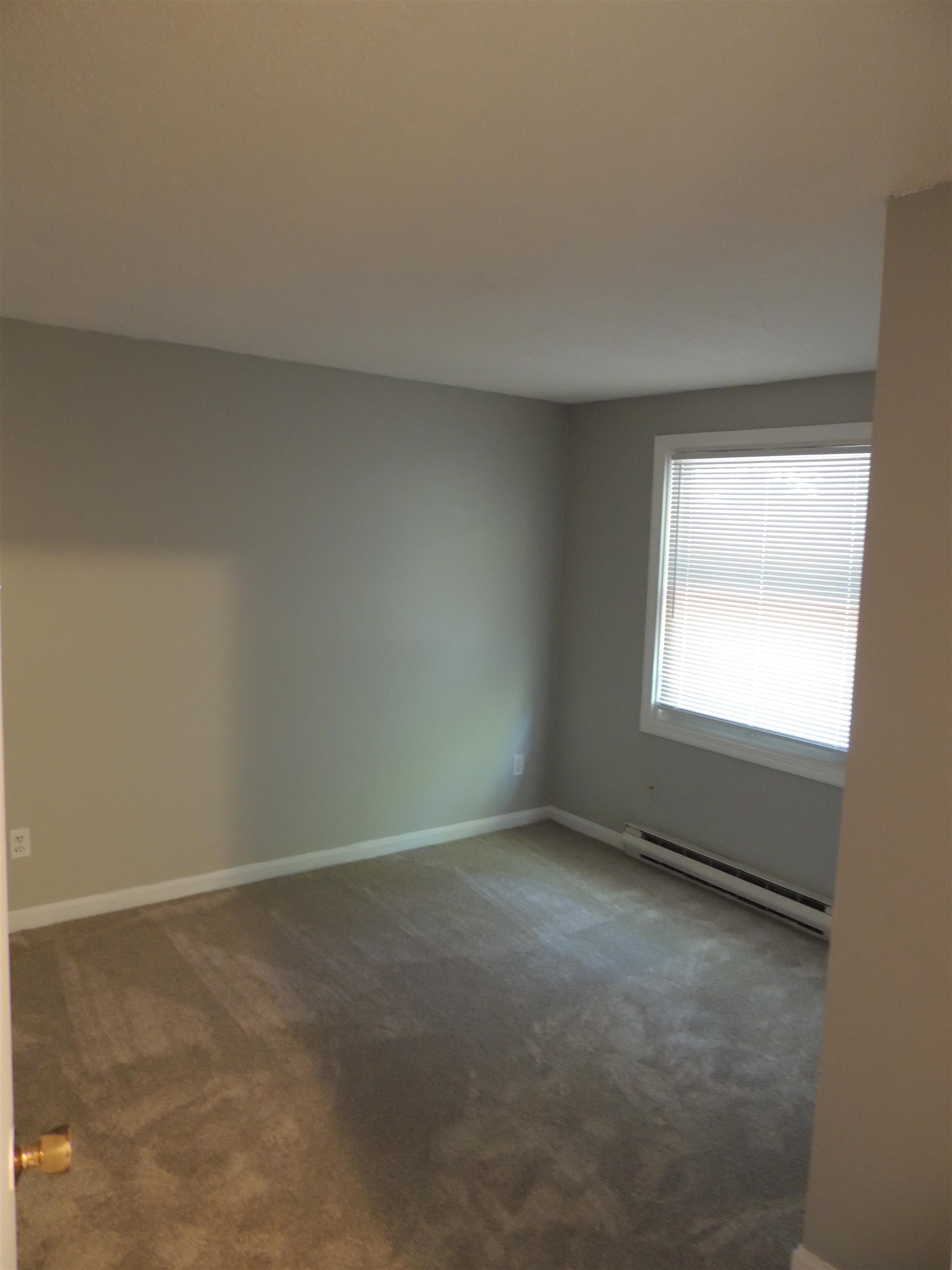 249 Dunbar Street Property Photo 13