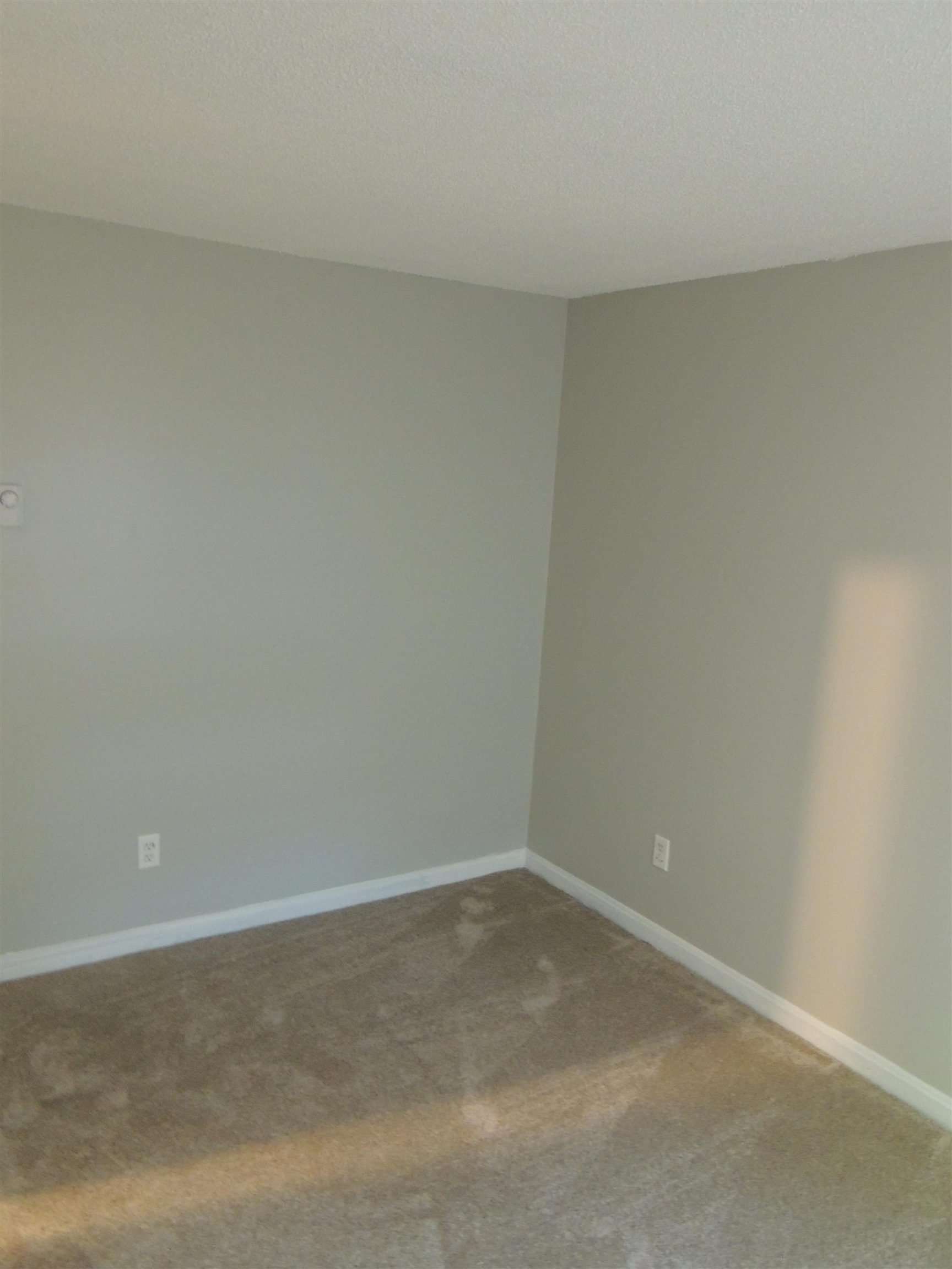 249 Dunbar Street Property Photo 22