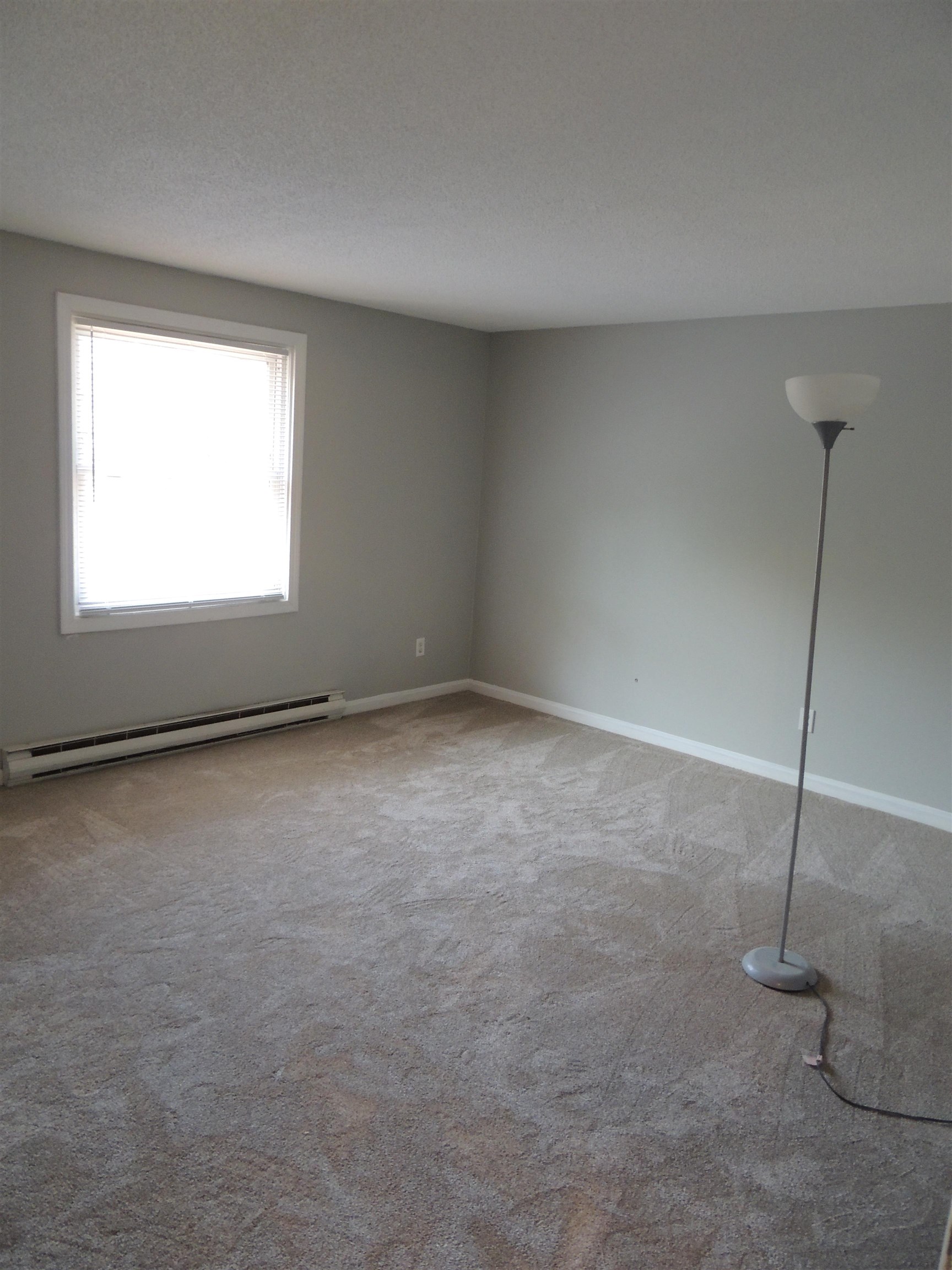 249 Dunbar Street Property Photo 24