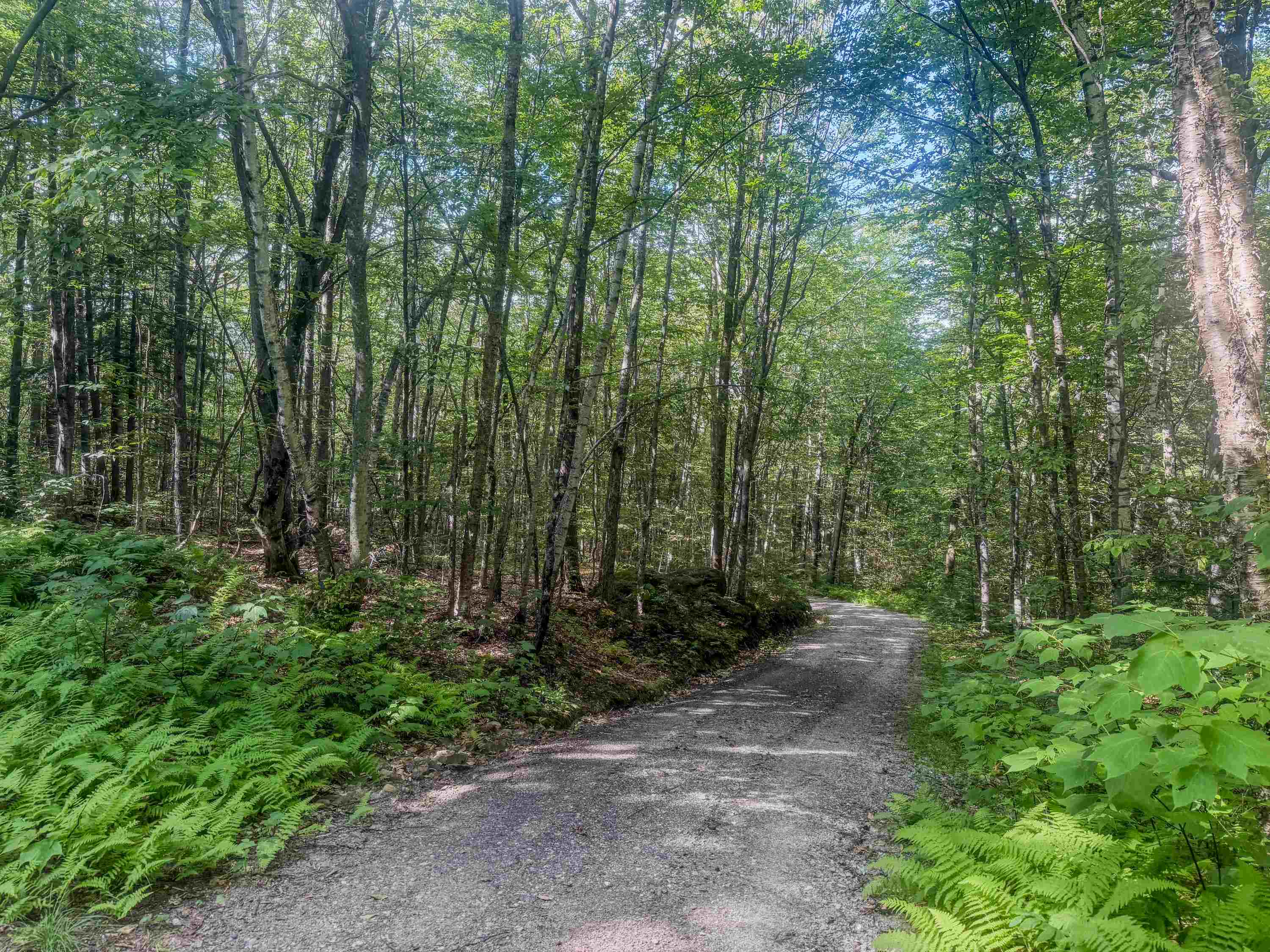 156 Sky Pond Road Property Photo 25