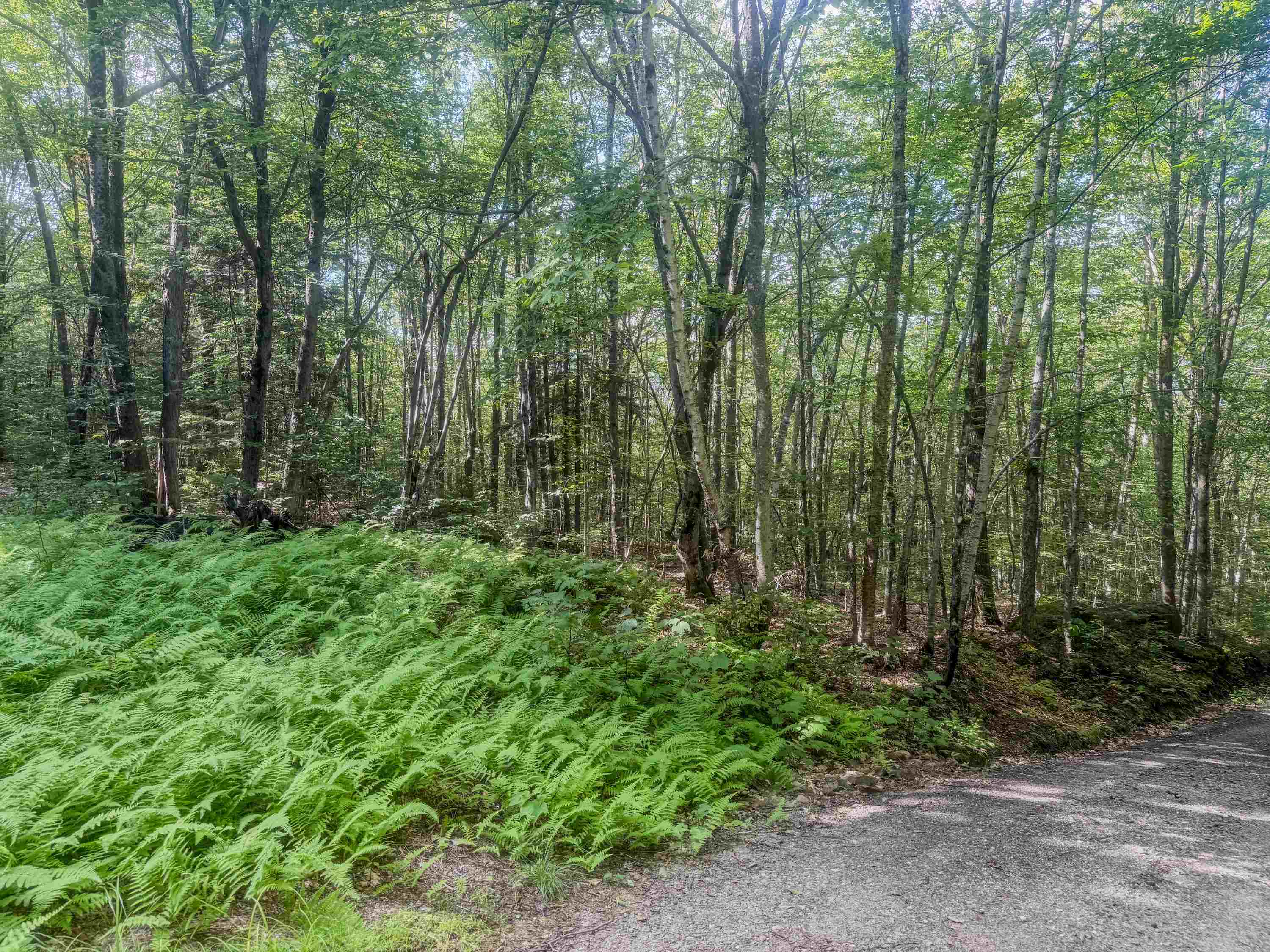 156 Sky Pond Road Property Photo 26