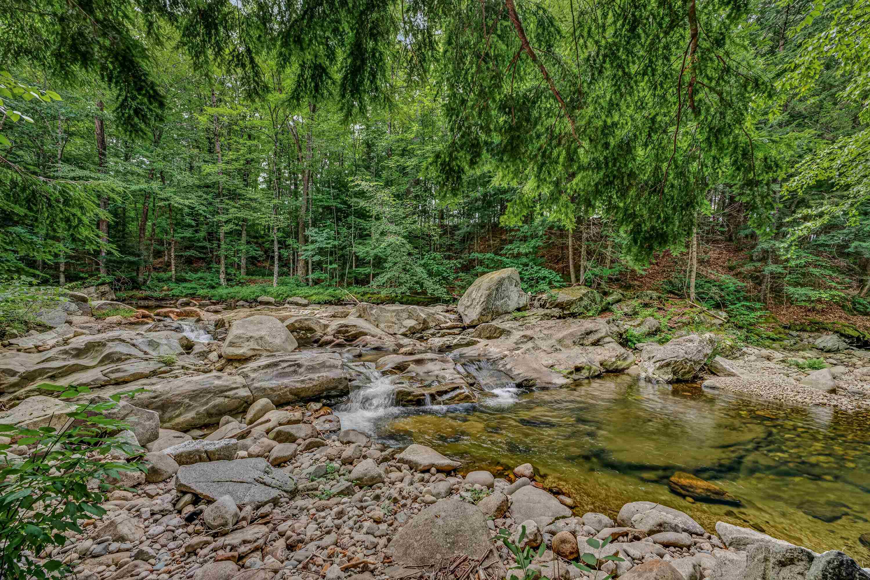 180 Mill Brook Road Property Photo 4