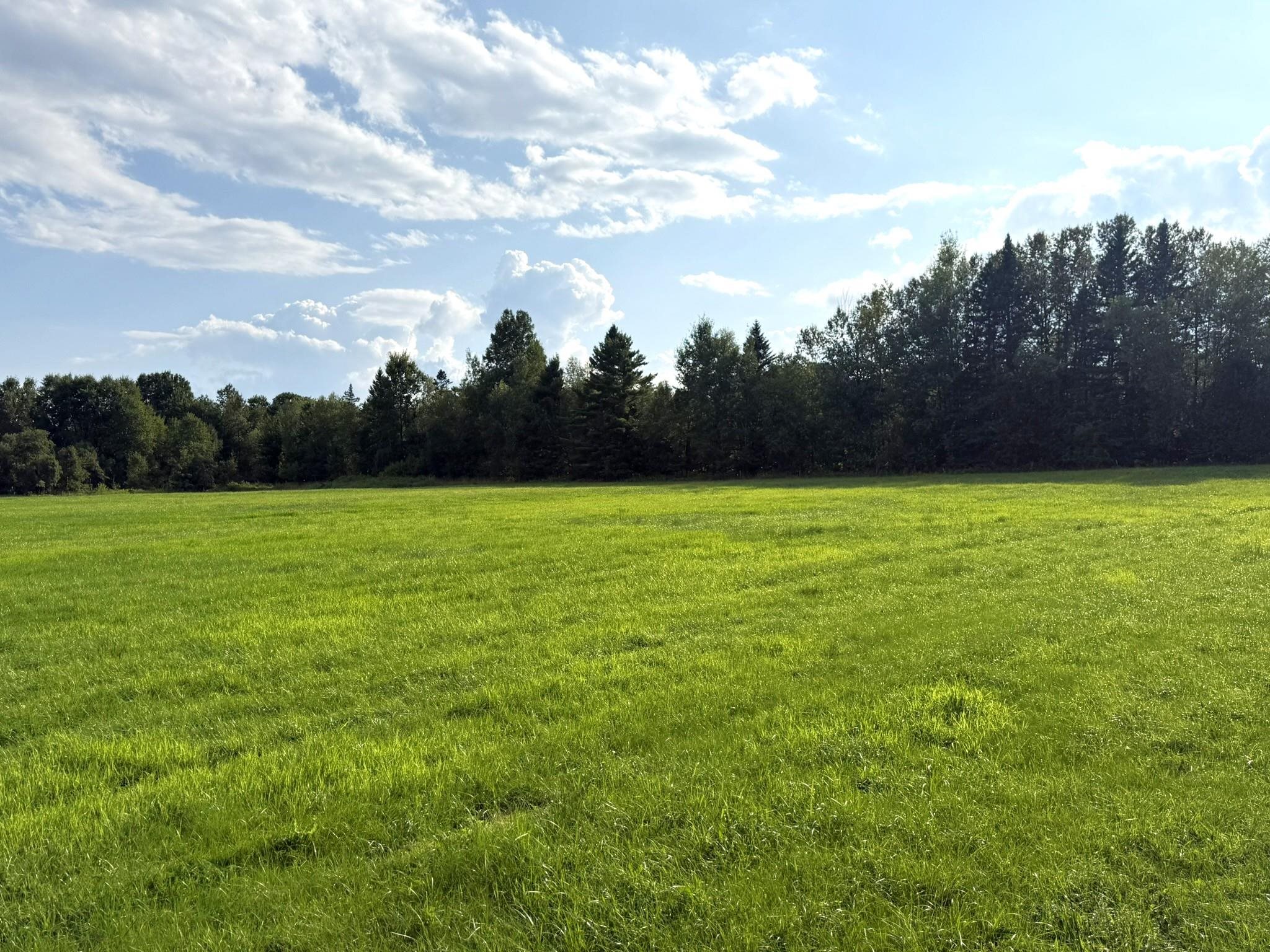 0 Cobb School Road Property Photo 7