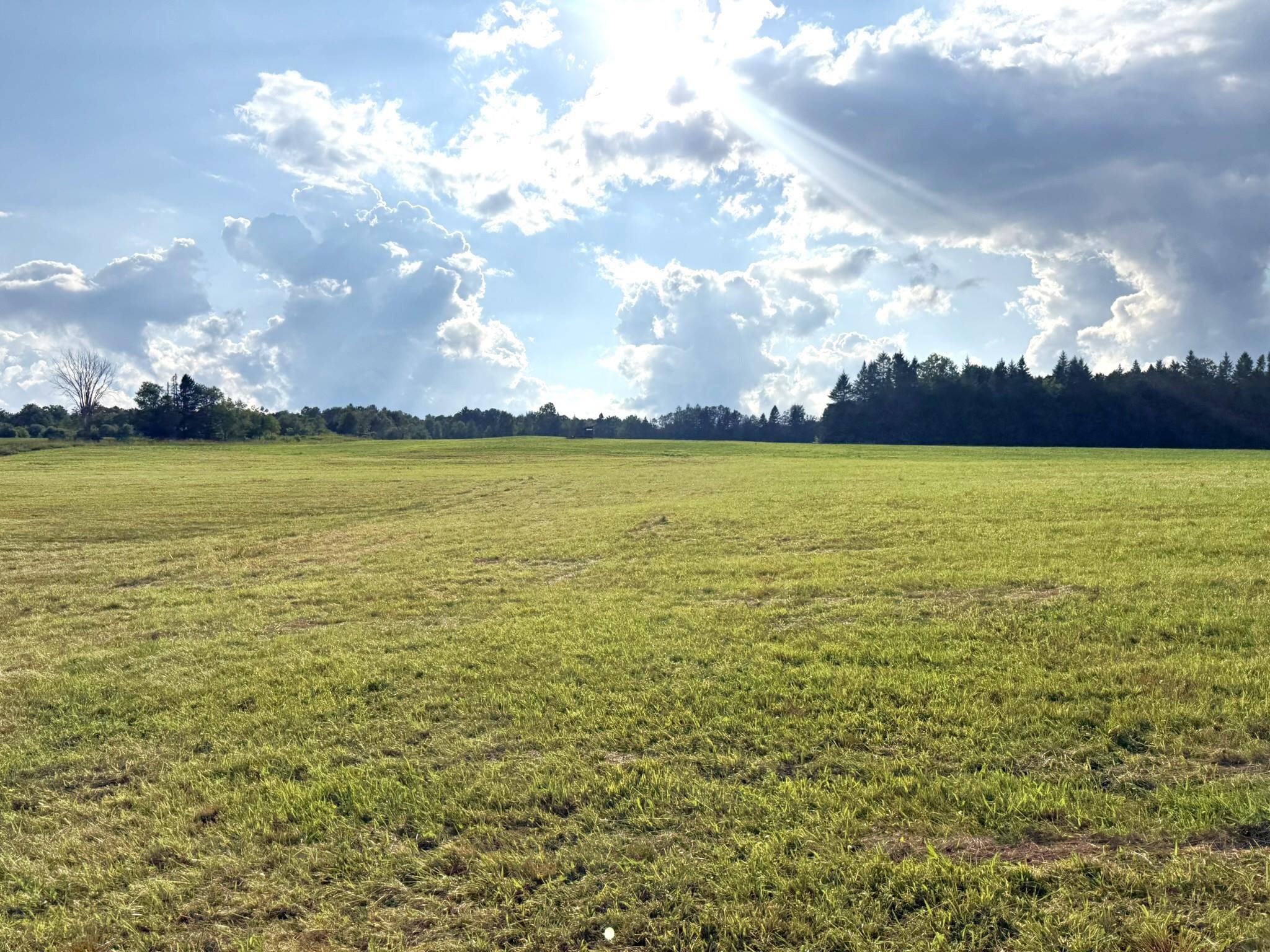 0 Cobb School Road Property Photo 12