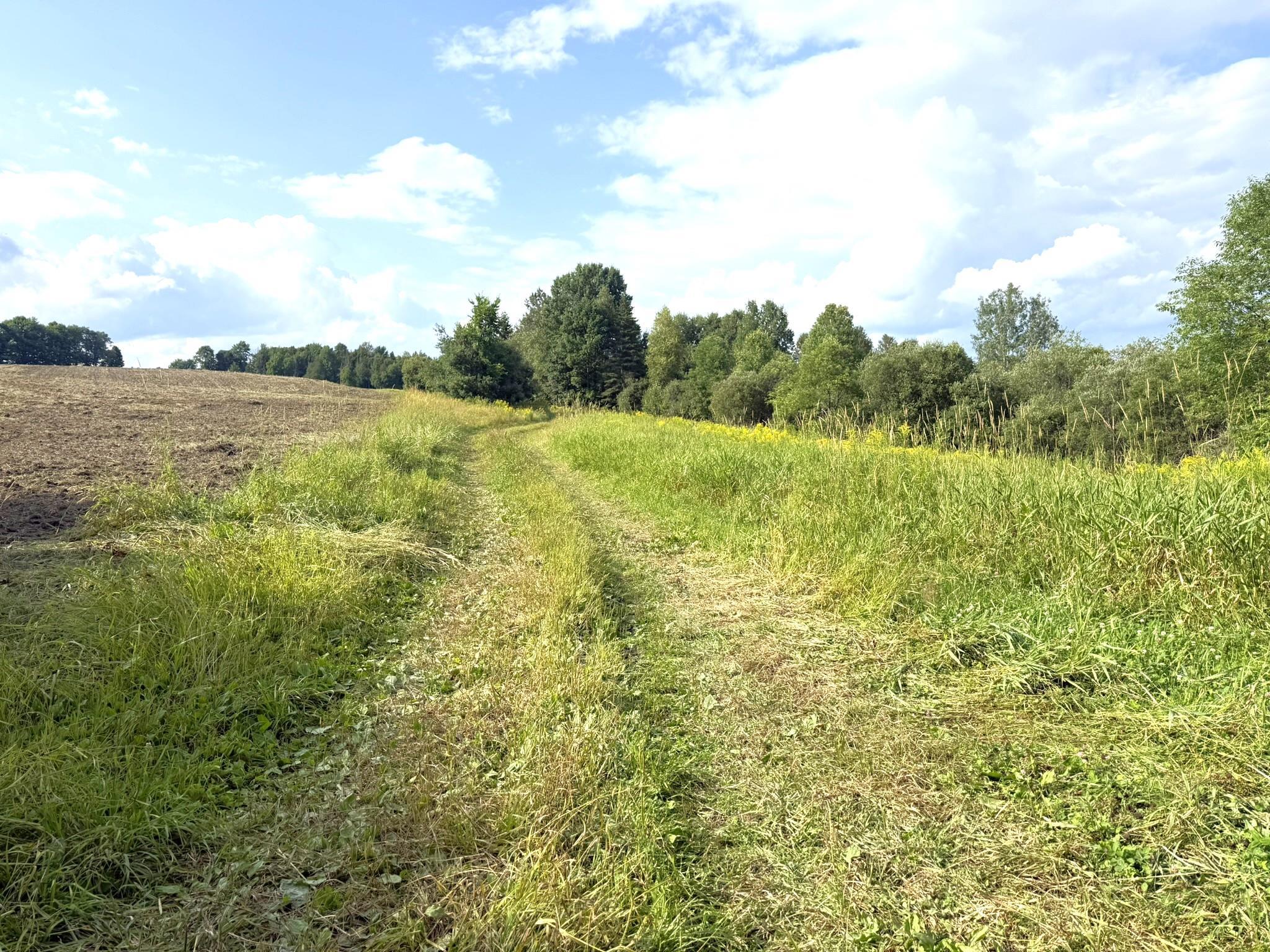 0 Cobb School Road Property Photo 18