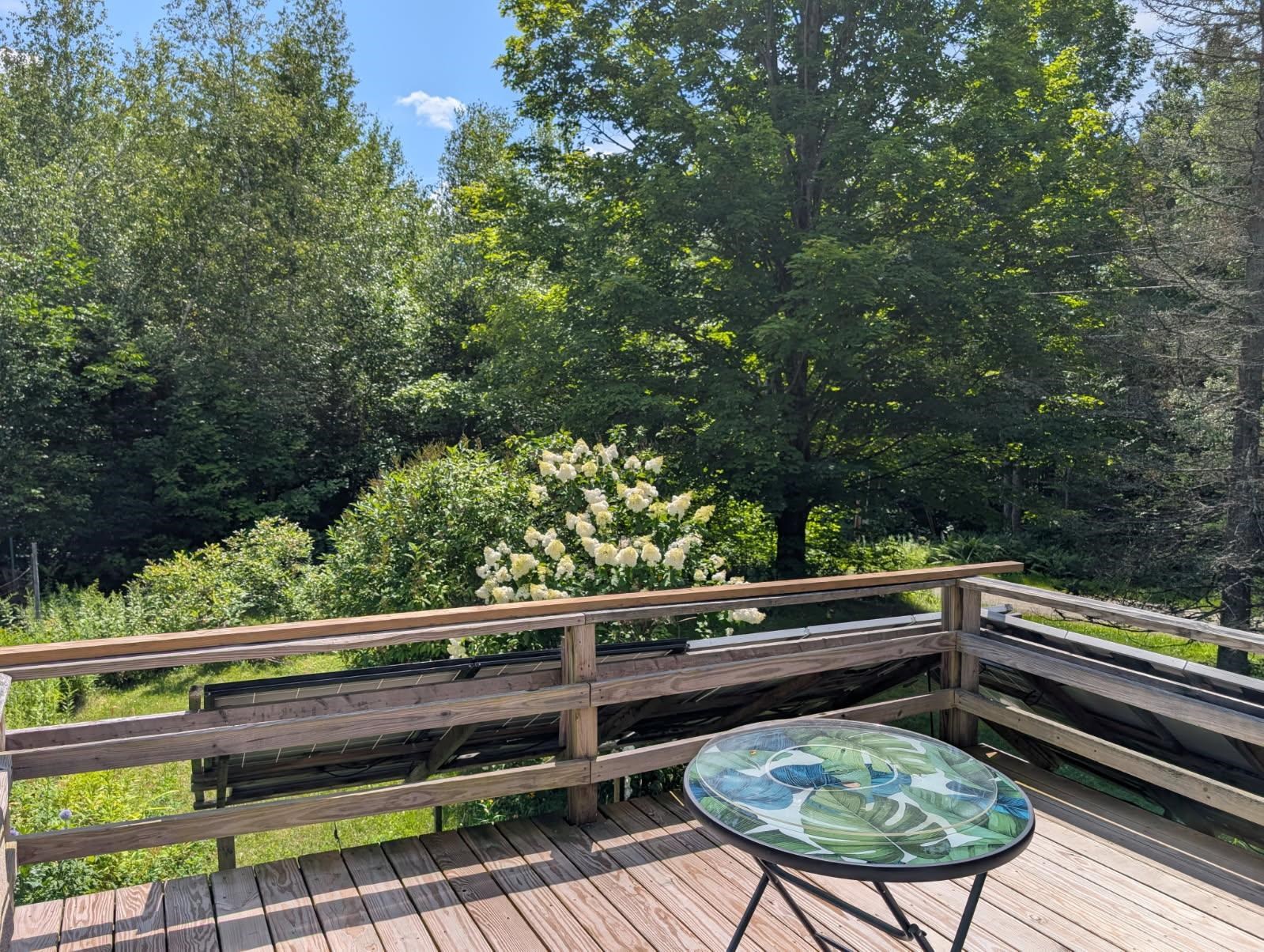195 Taft Brook Road Property Photo 19