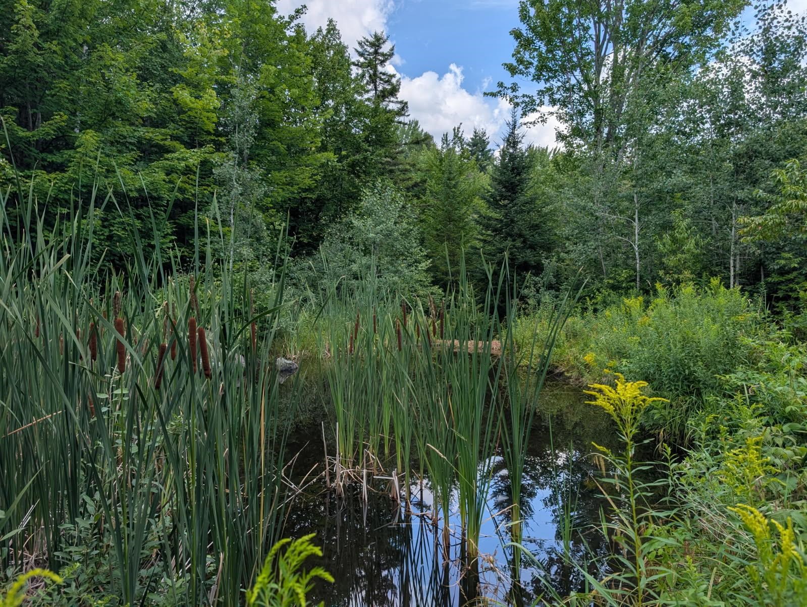 195 Taft Brook Road Property Photo 24