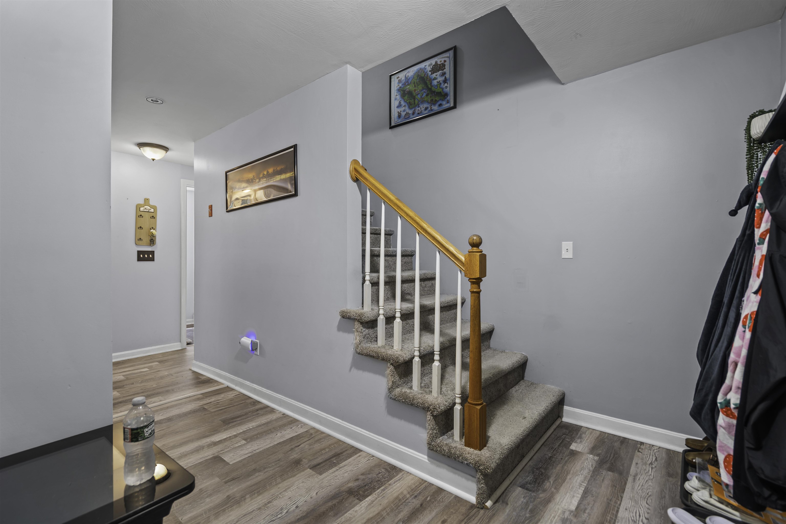25 Raccoon Alley Property Photo 12