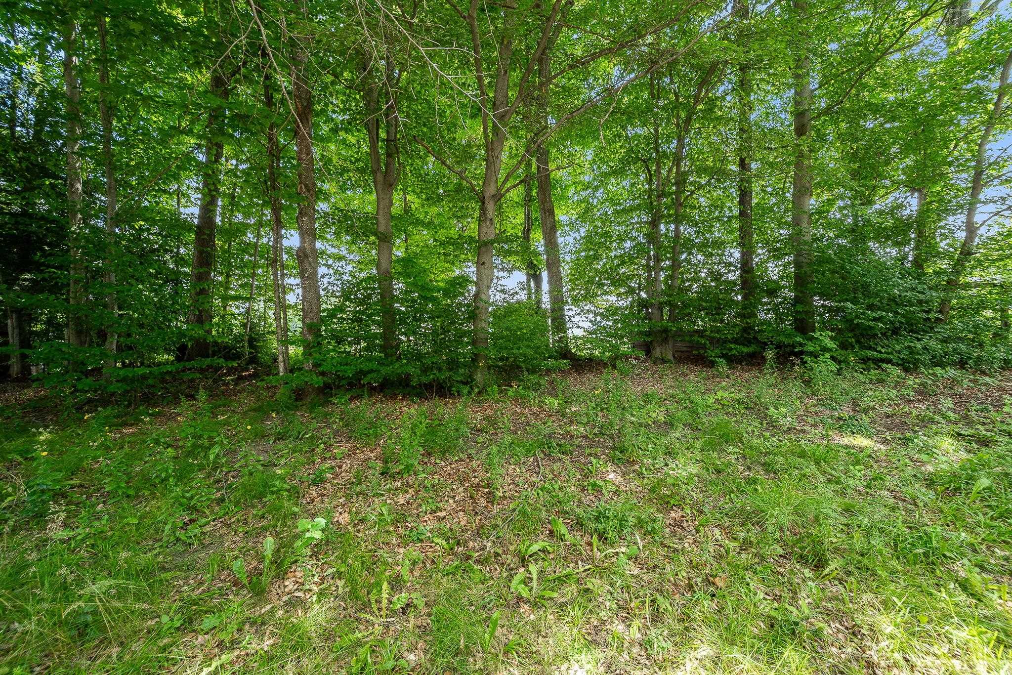 56 Palmisano Plaza Property Photo 33