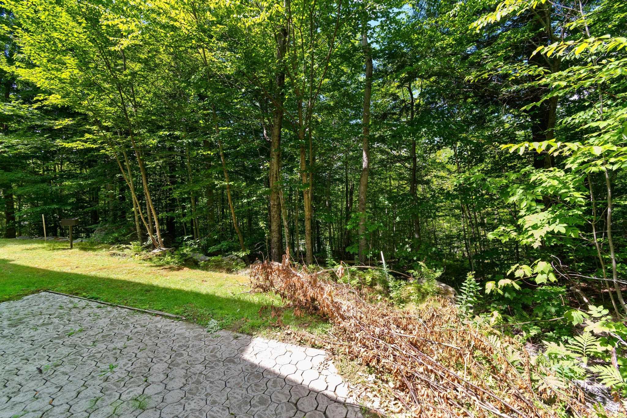 169 Willows Hill Drive Property Photo 34