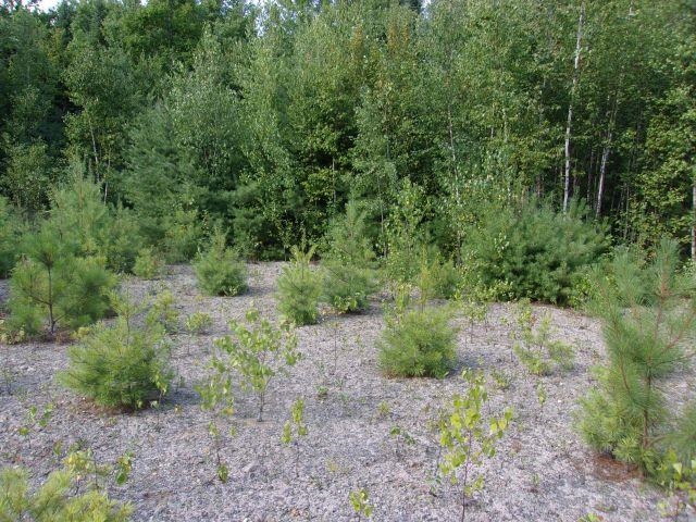 Fenn Way Circle Property Photo 1