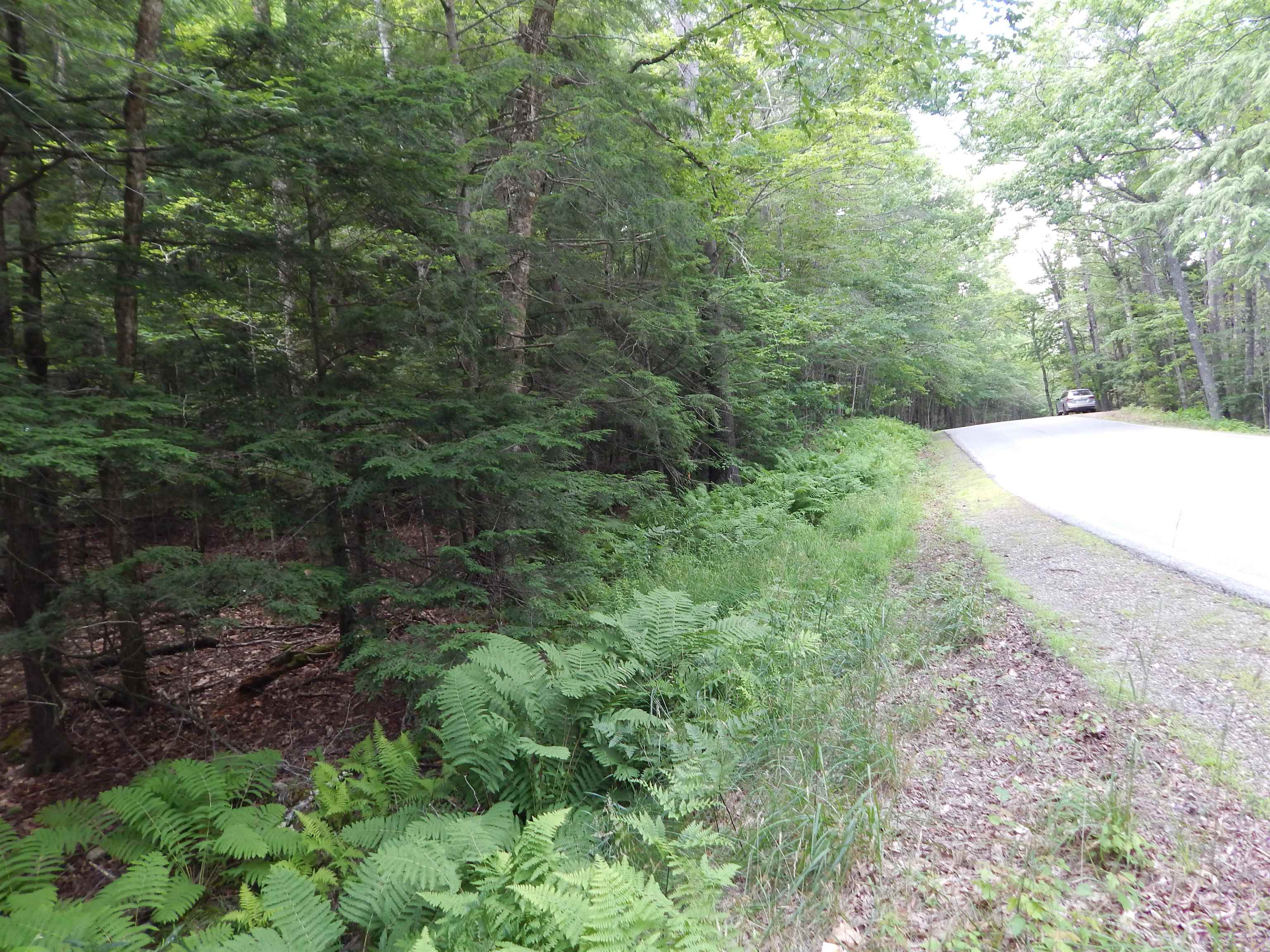 Pine Cliff Road Property Photo 6