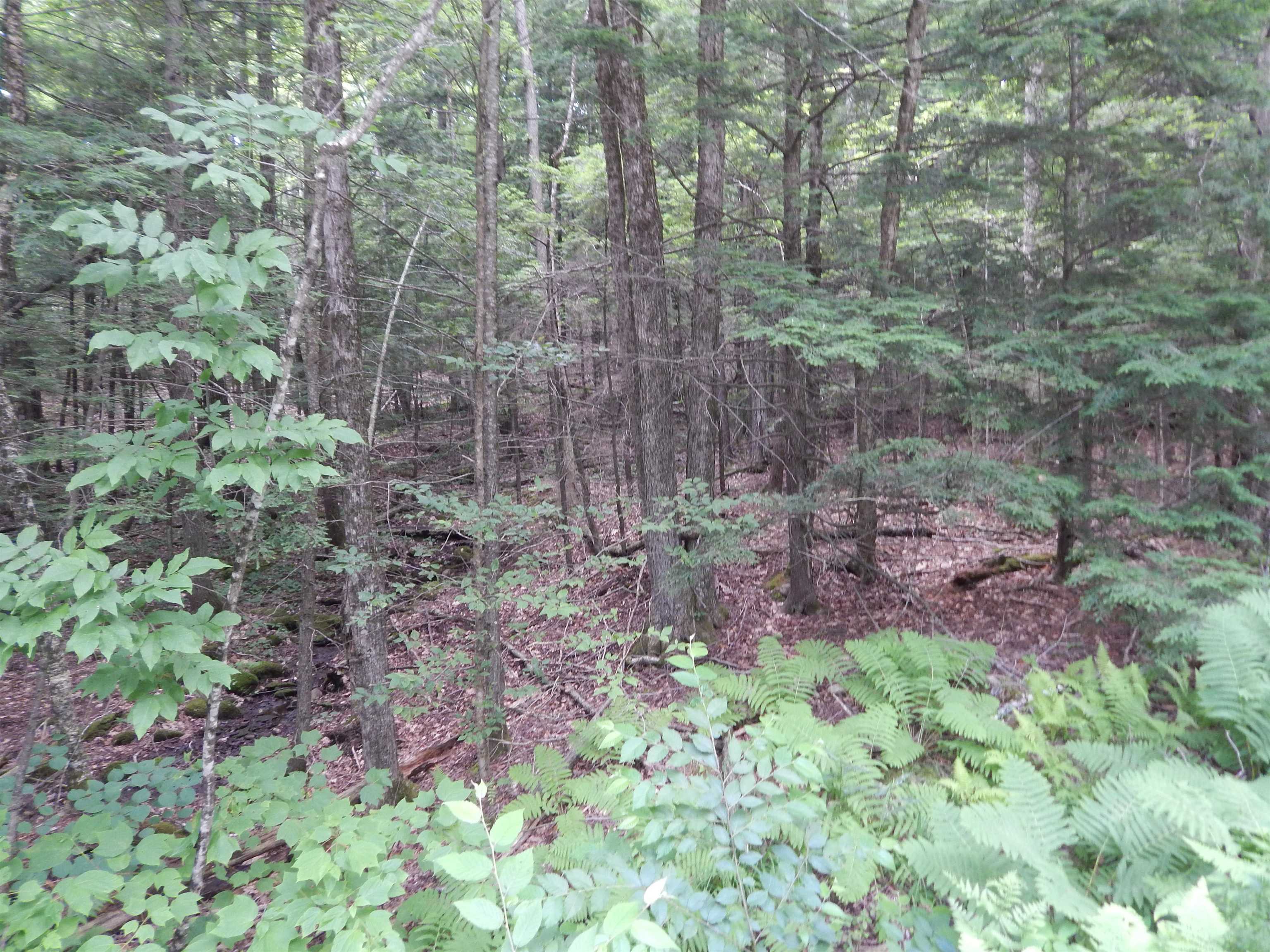 Pine Cliff Road Property Photo 7