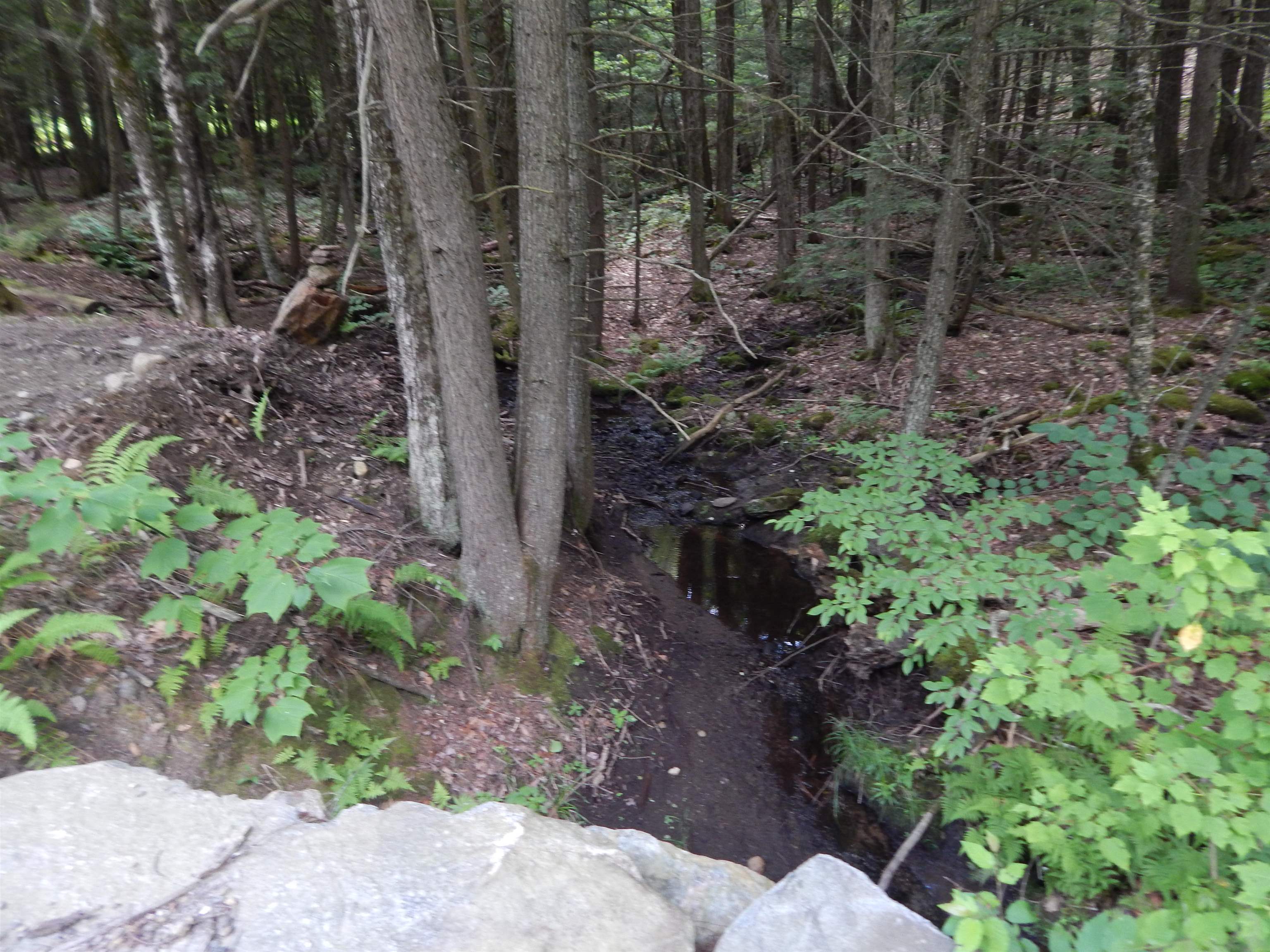 Pine Cliff Road Property Photo 8