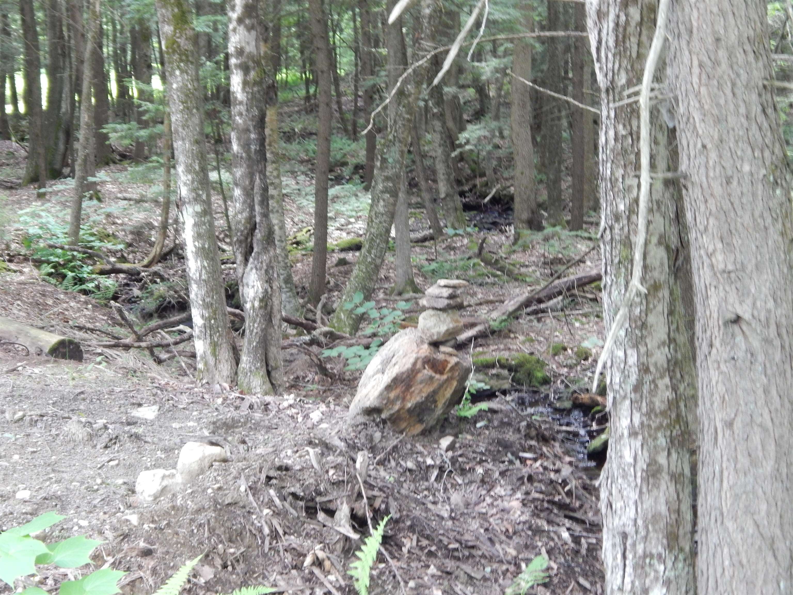 Pine Cliff Road Property Photo 9