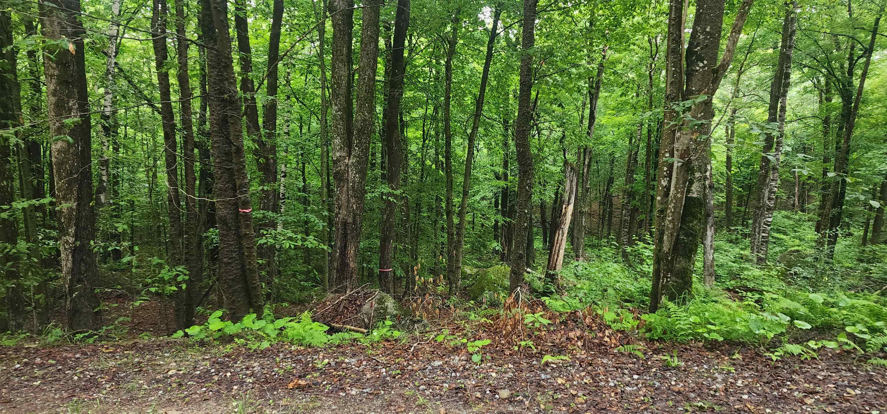 142 Fox Hill Road Property Photo 1
