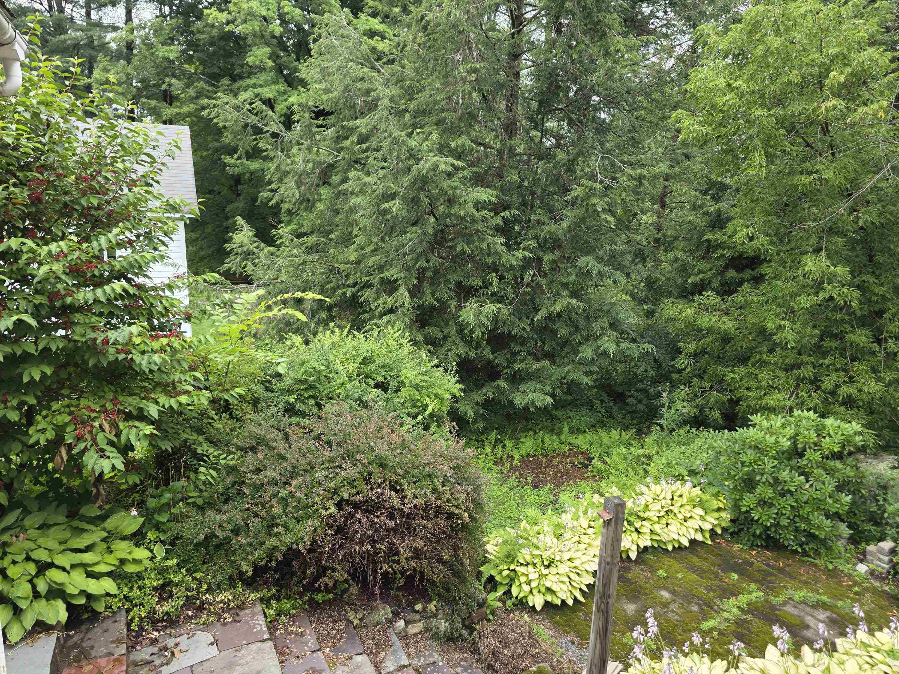 72 Green Meadow Property Photo 6