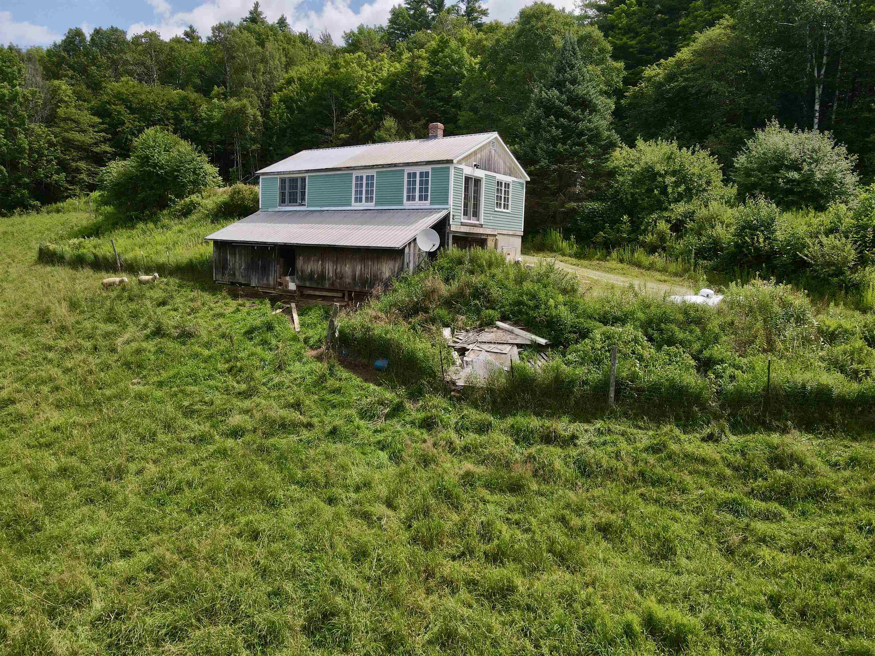 3625 Ripton Road Property Photo 20