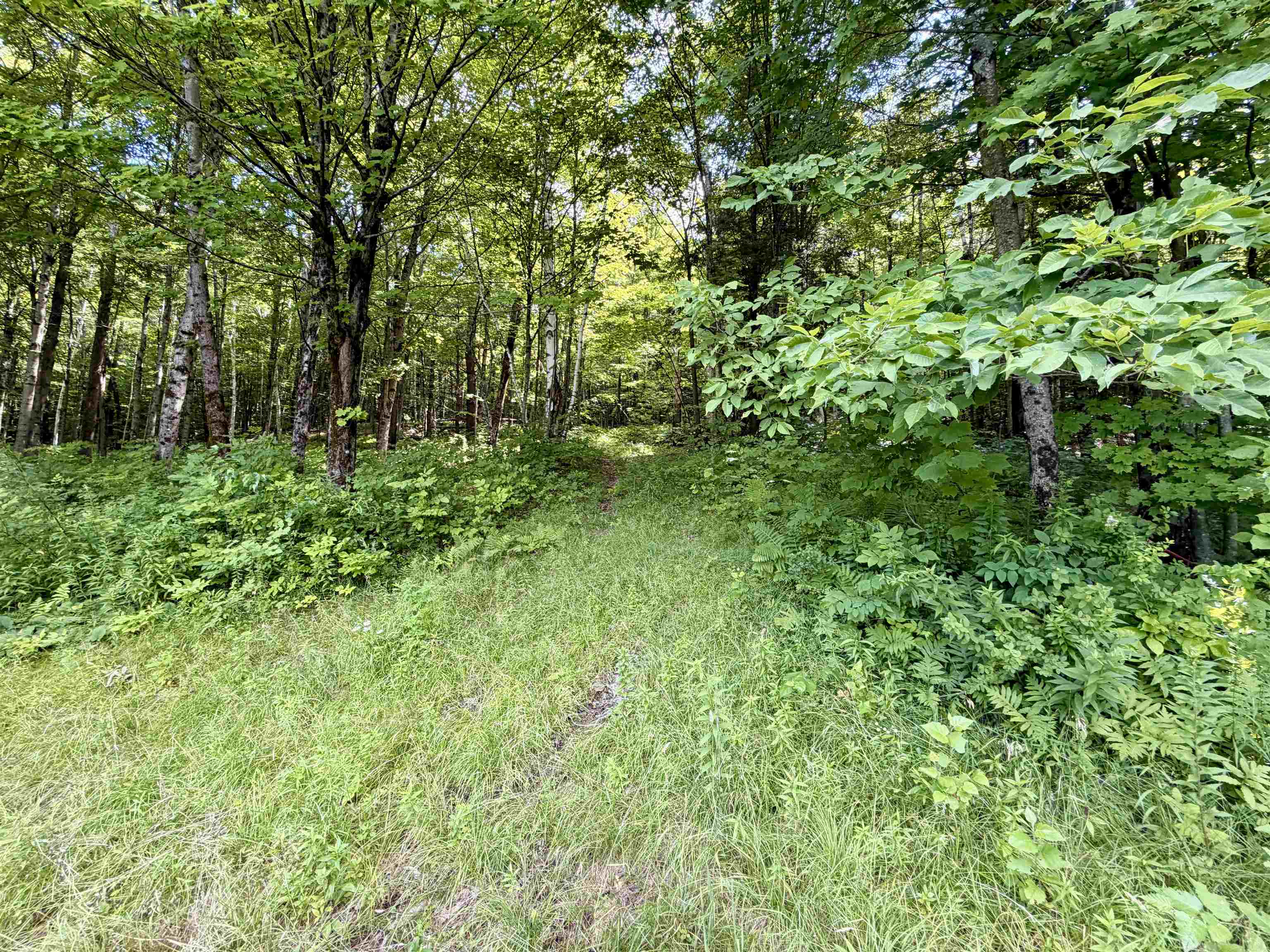 3625 Ripton Road Property Photo 13