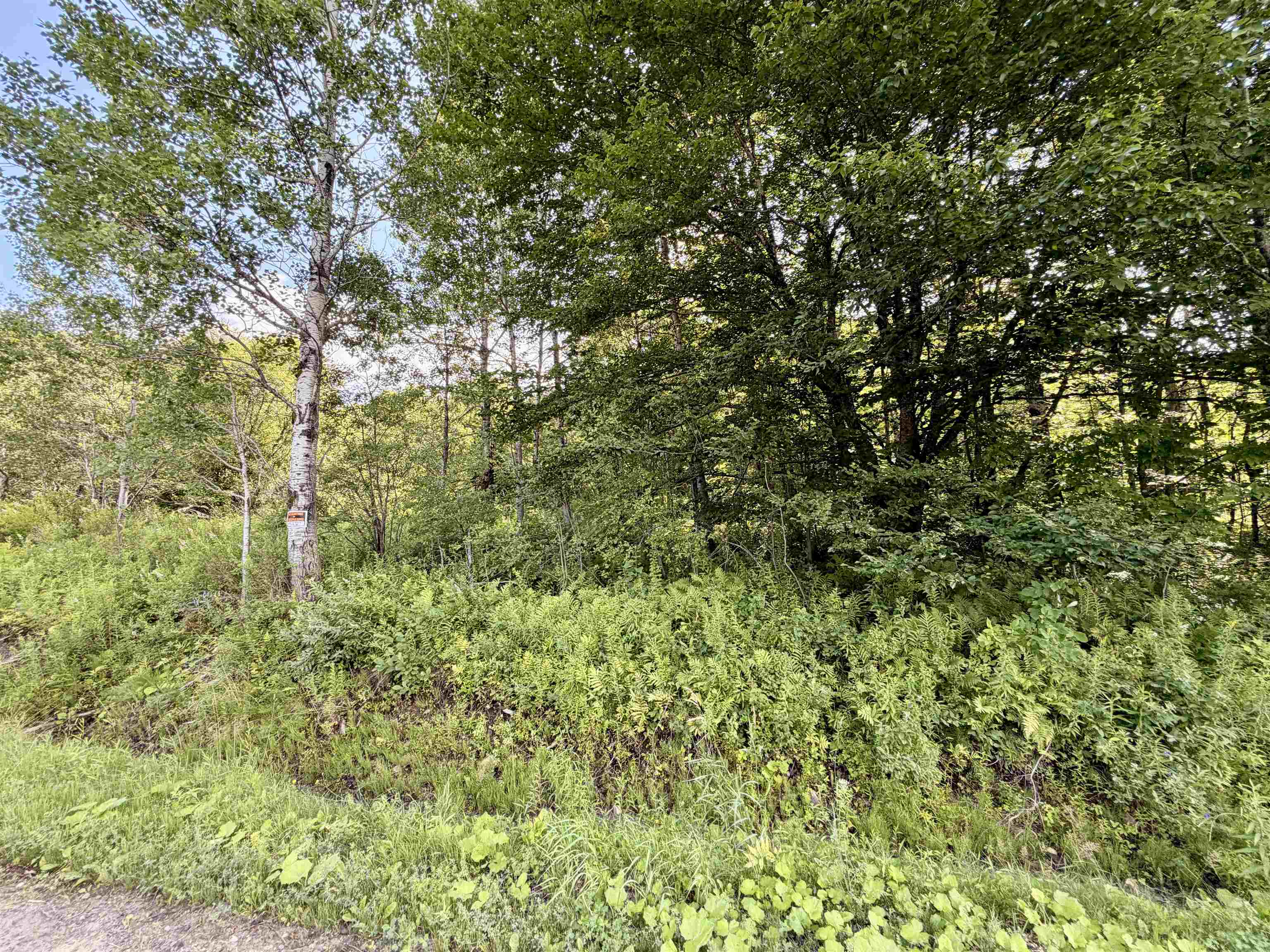 3625 Ripton Road Property Photo 15