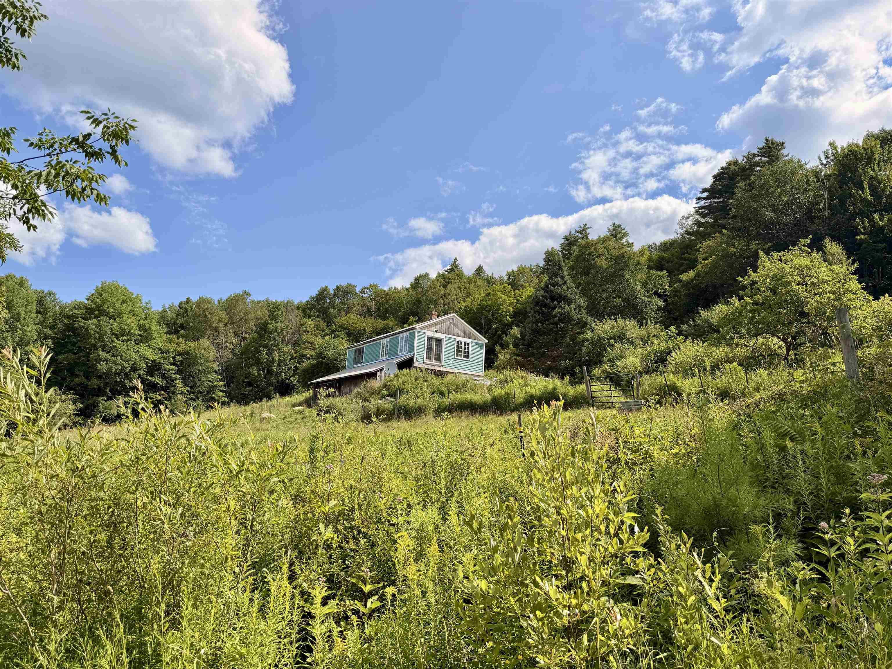 3625 Ripton Road Property Photo 16