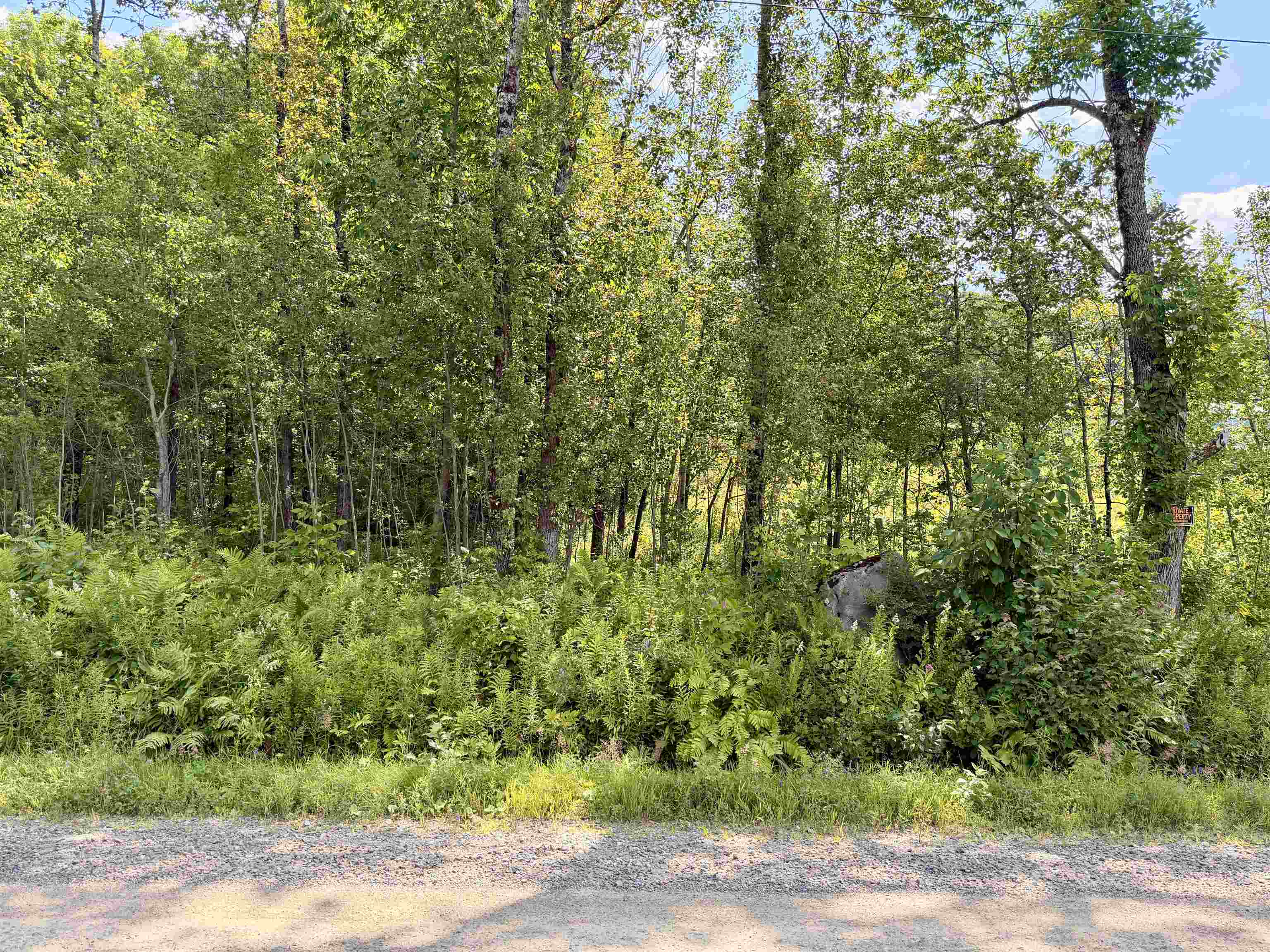 3625 Ripton Road Property Photo 44