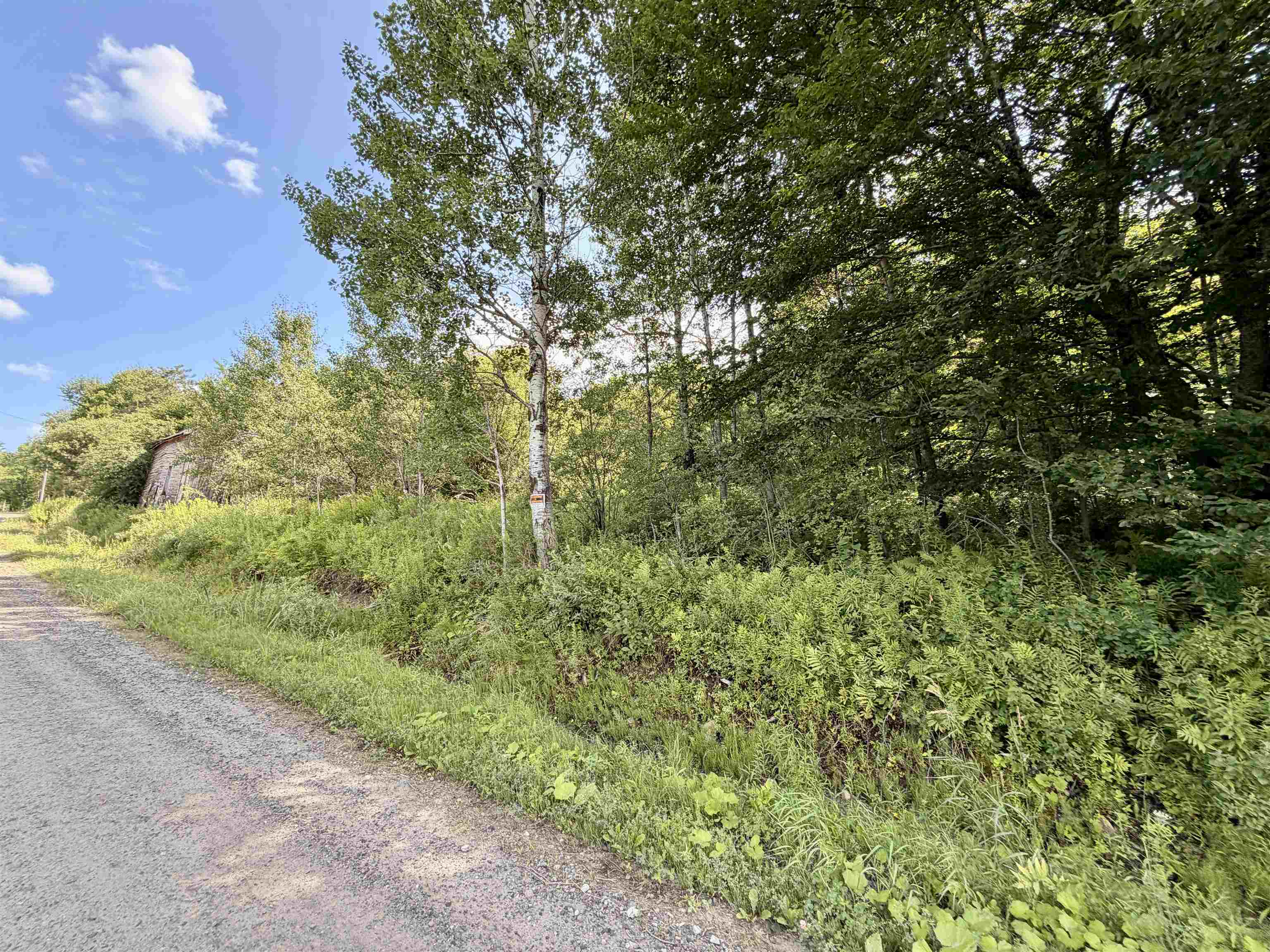 3625 Ripton Road Property Photo 45