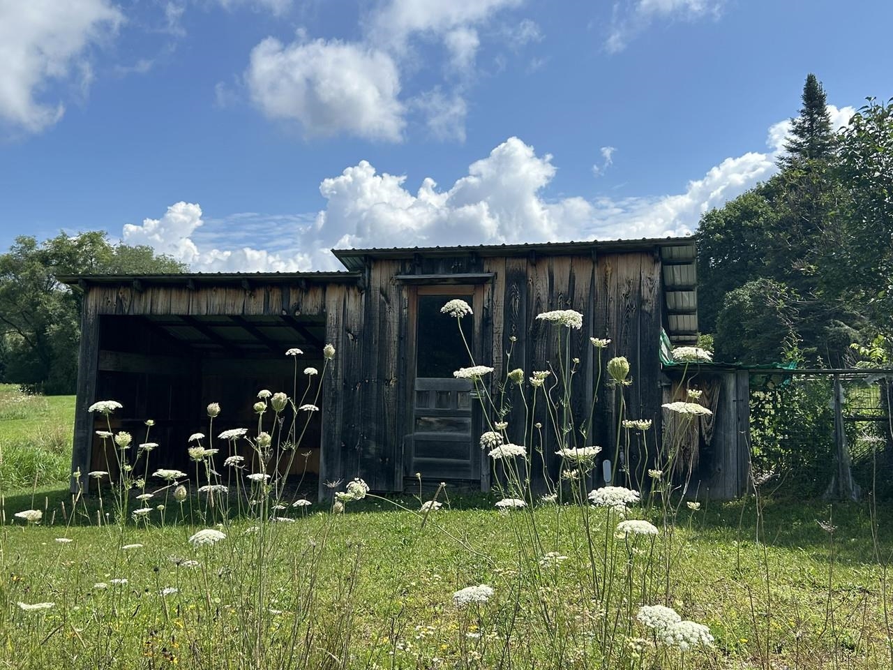 150 Piney Woods Road Property Photo 41
