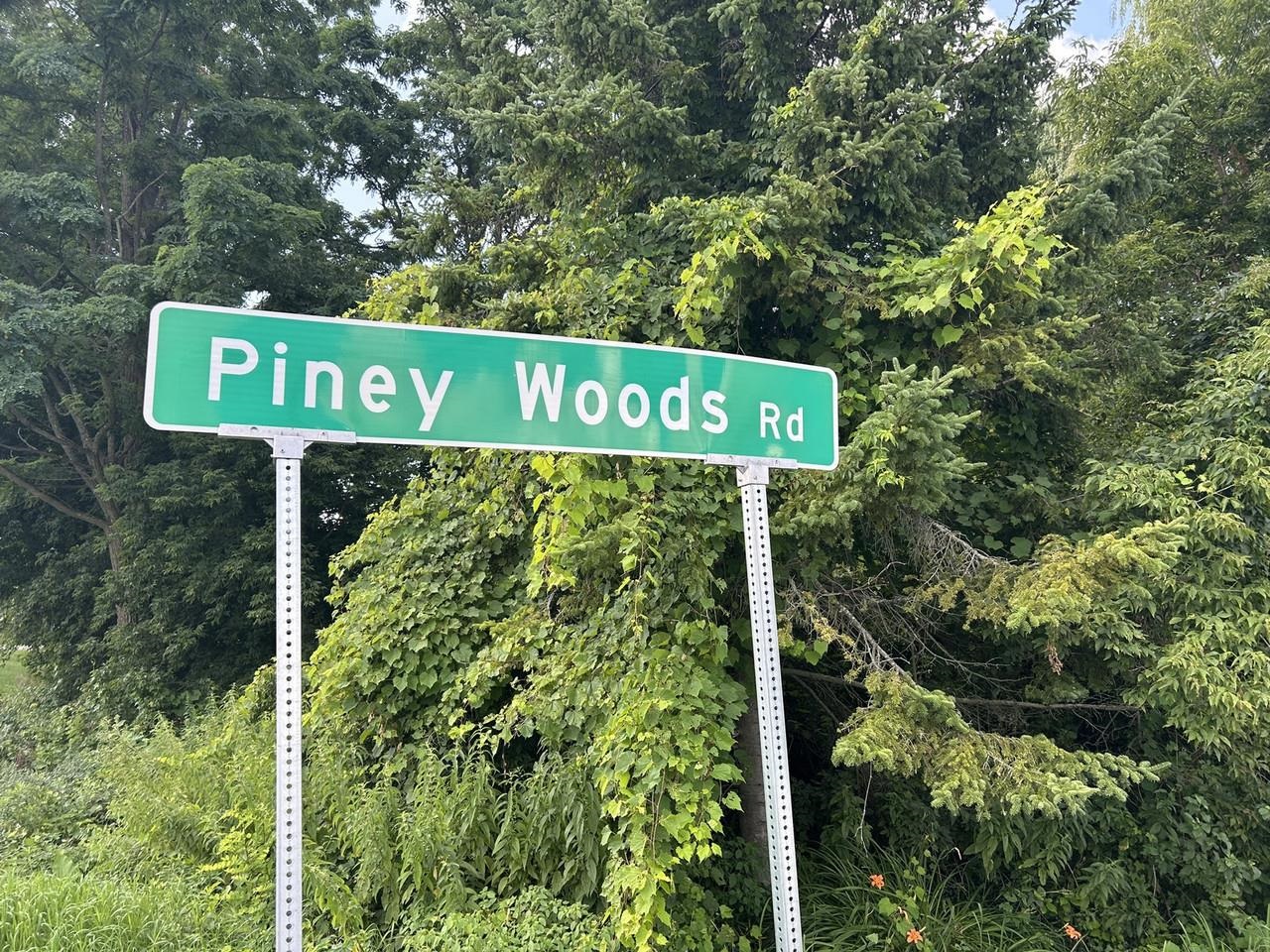 150 Piney Woods Road Property Photo 43