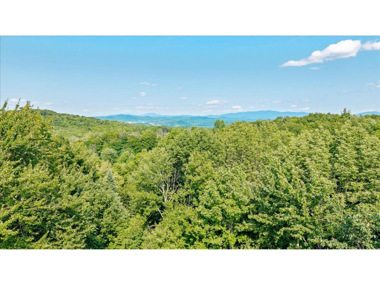 1149 Hill Road Property Photo 60